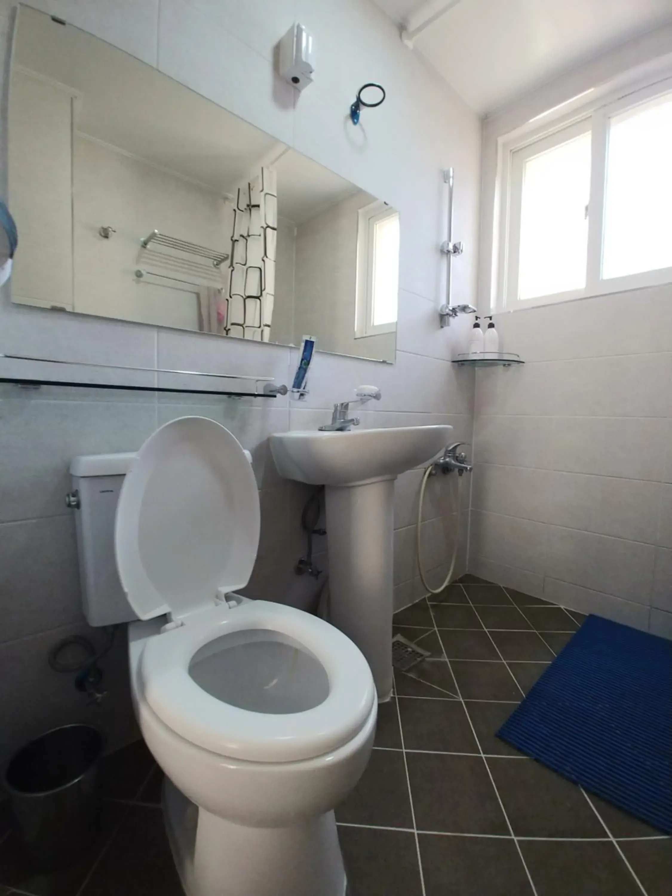 Bathroom in The Red House