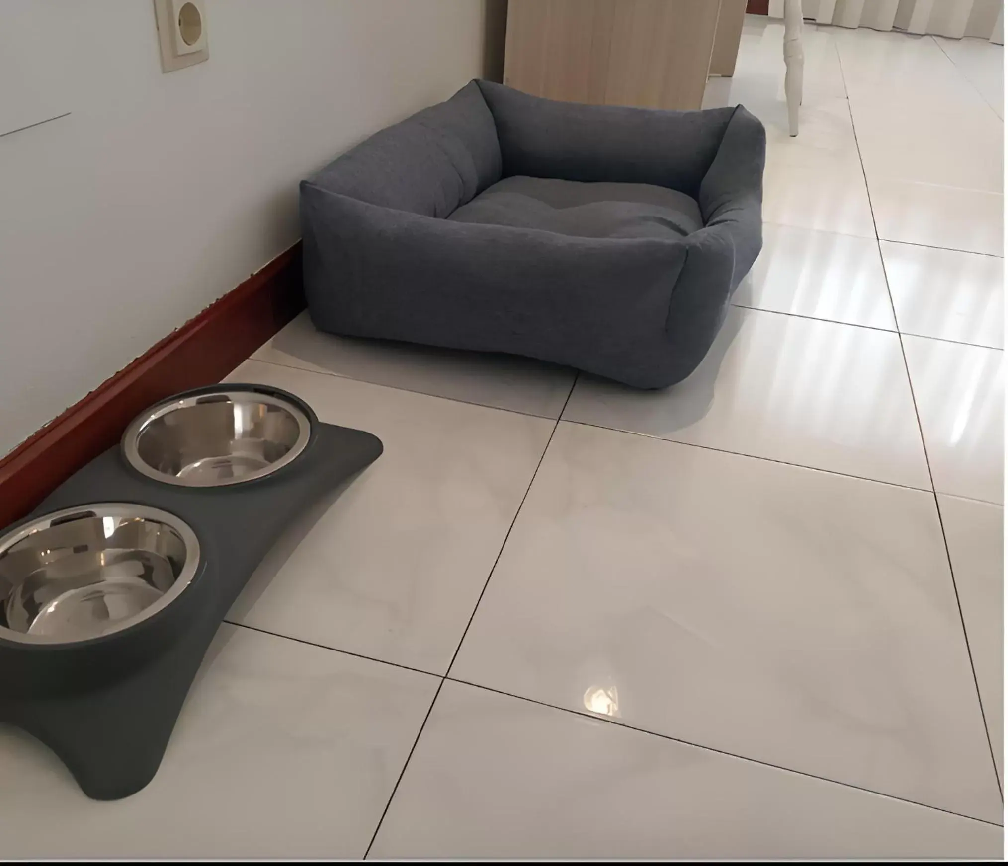 Pets in Hotel San Millán