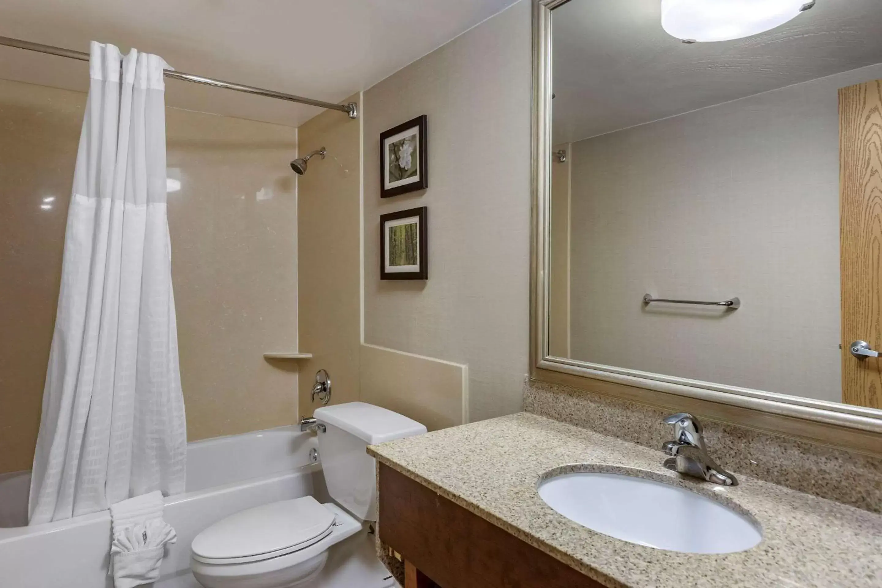 Photo of the whole room, Bathroom in Comfort Inn Lansing