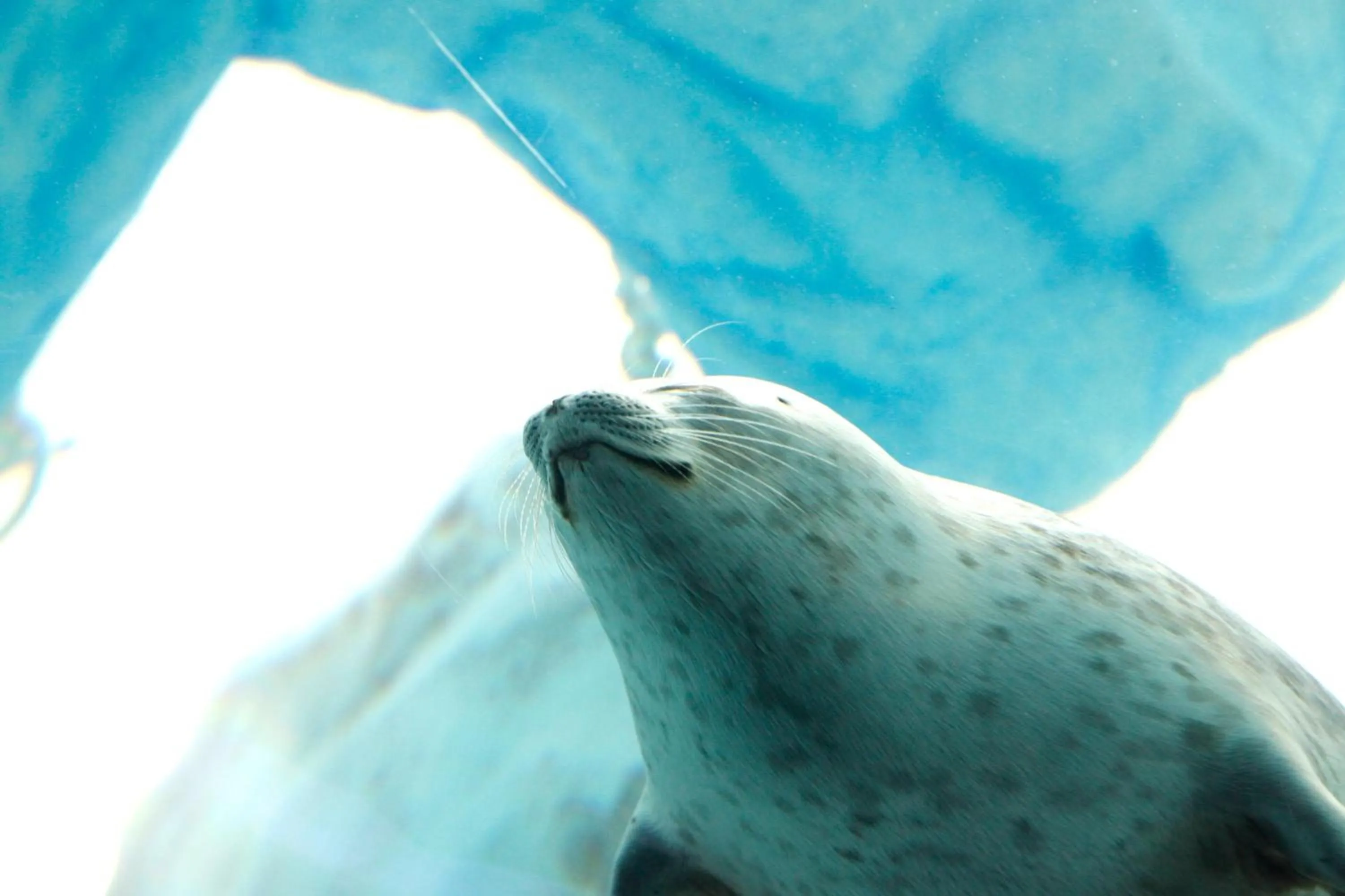 Nearby landmark in KOKO HOTEL Higashiosaka - formerly Hotel Wing International Select Higashi Osaka