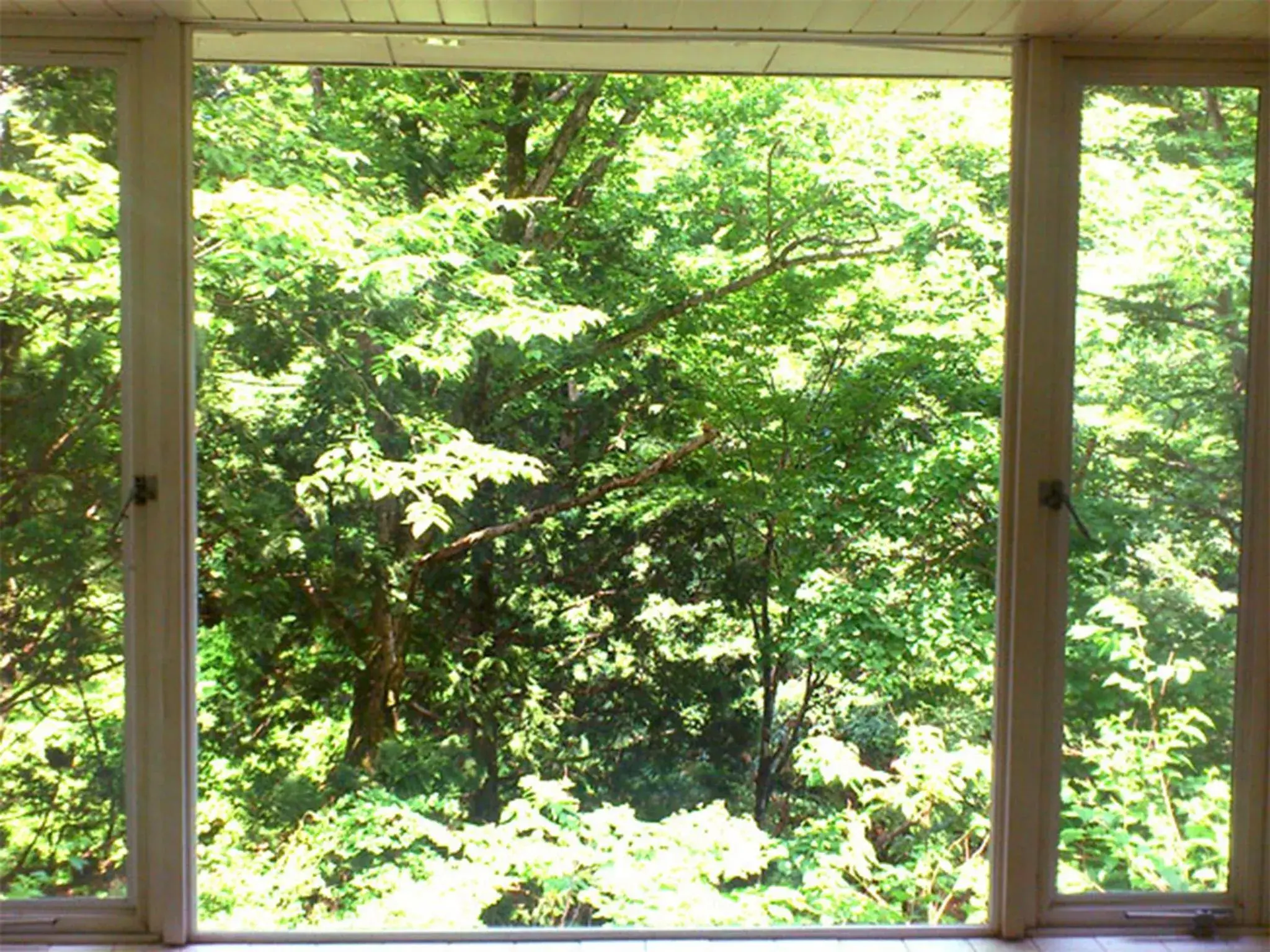 Bathroom in Tenjin Lodge