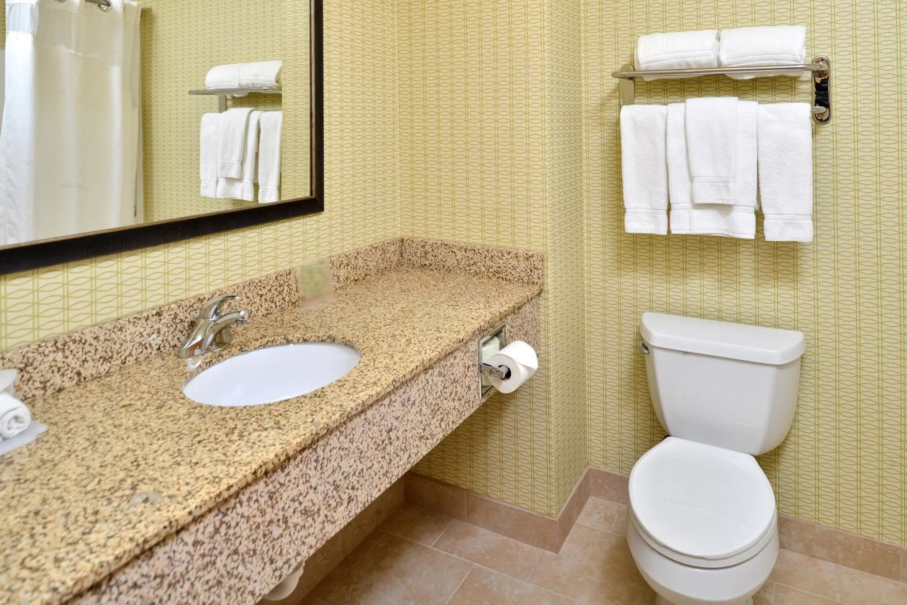 Bathroom in Holiday Inn Express Hotel & Suites Charlotte, an IHG Hotel