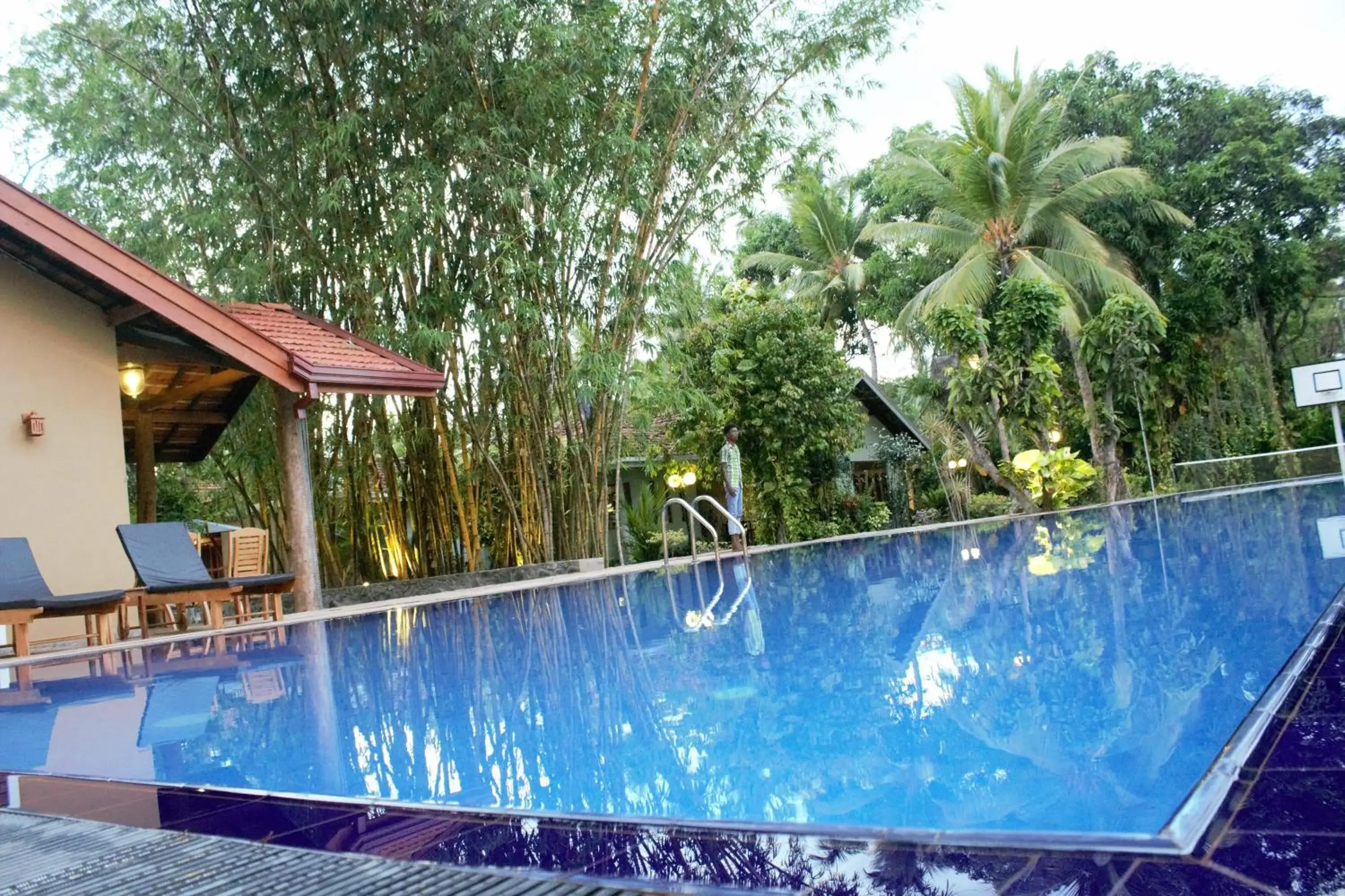 Natural landscape, Swimming Pool in Villa Shade