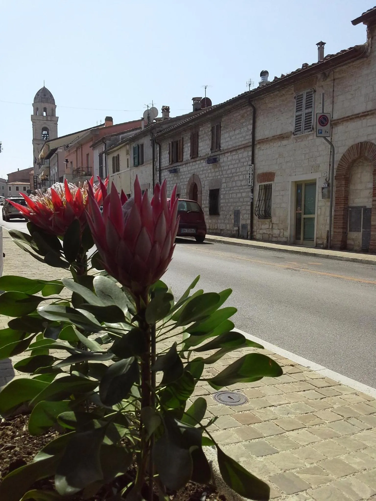 City view in Hotel "Il Parco" B&B Sirolo