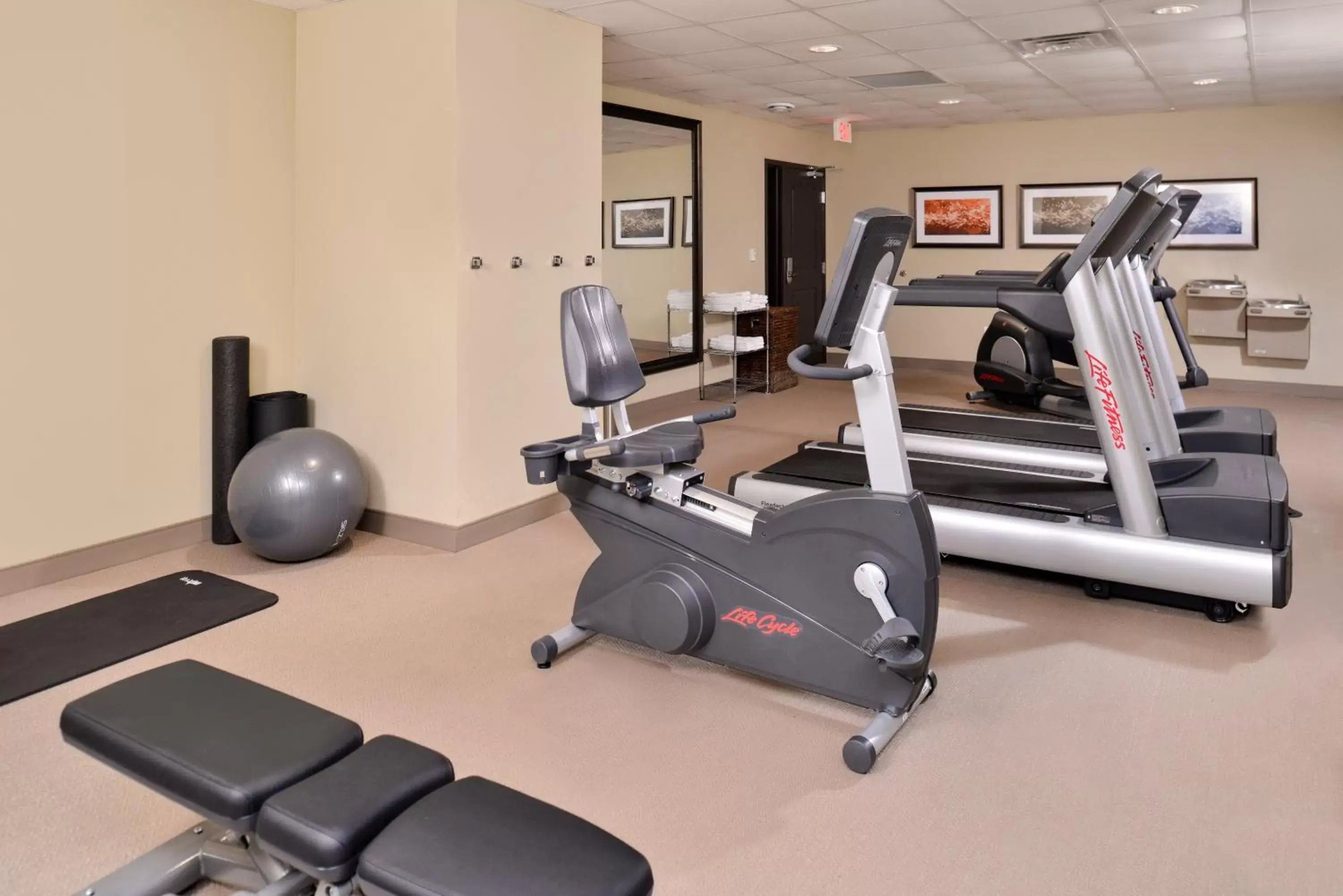 Spa and wellness centre/facilities, Fitness Center/Facilities in Staybridge Suites Rochester, an IHG Hotel