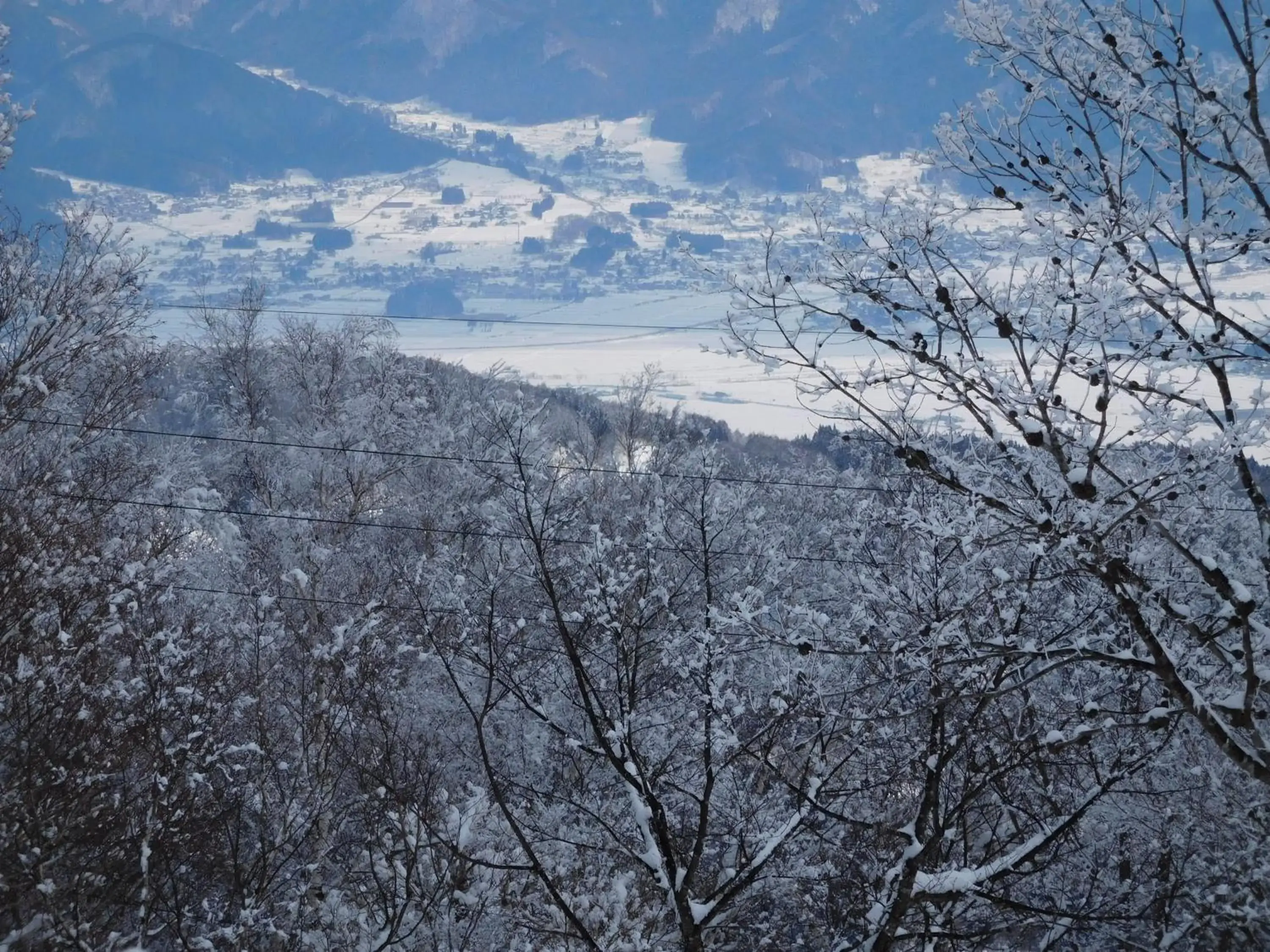 Winter in Madarao Elm Pension