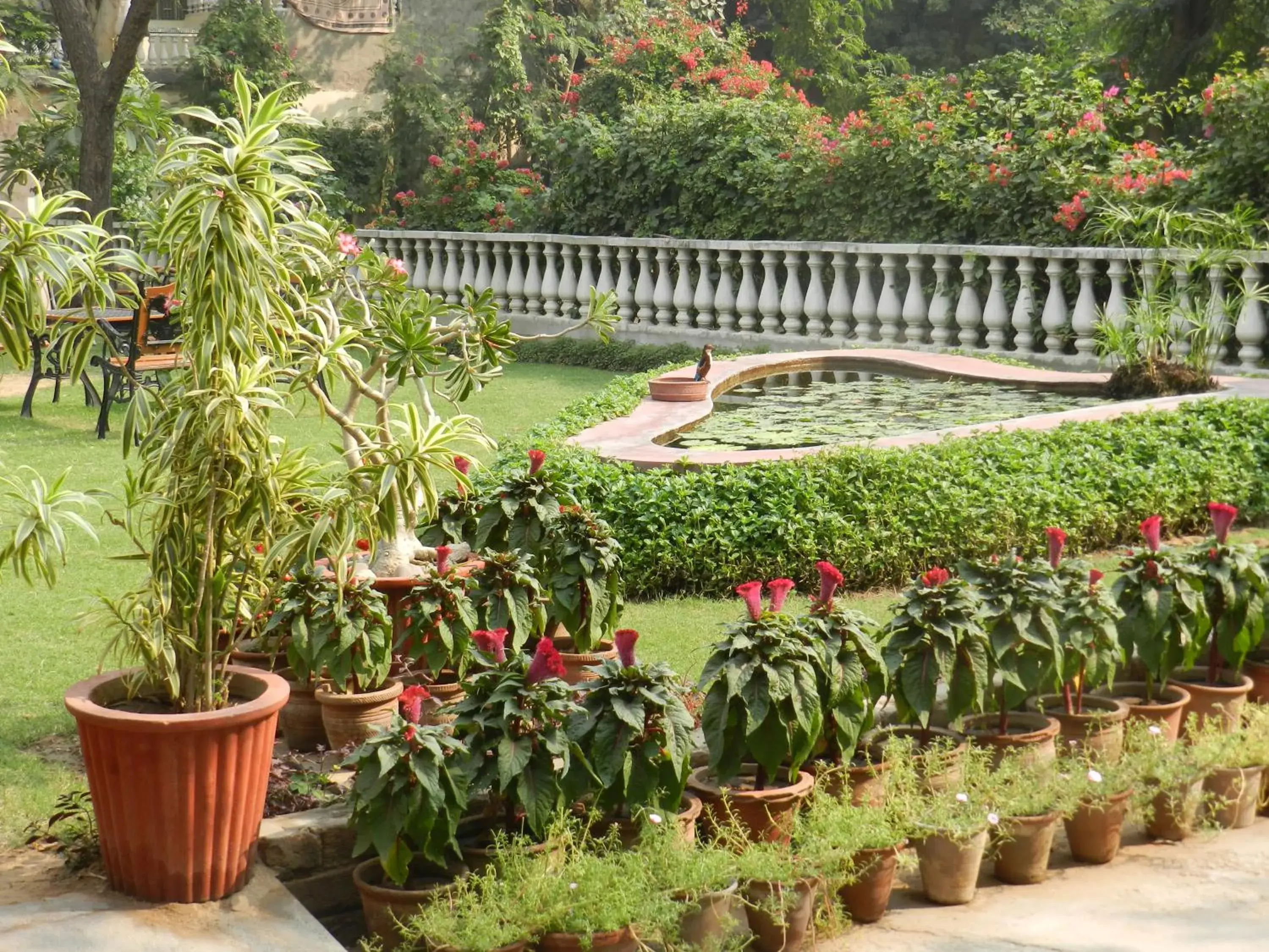 Garden in Jai Niwas Garden Hotel