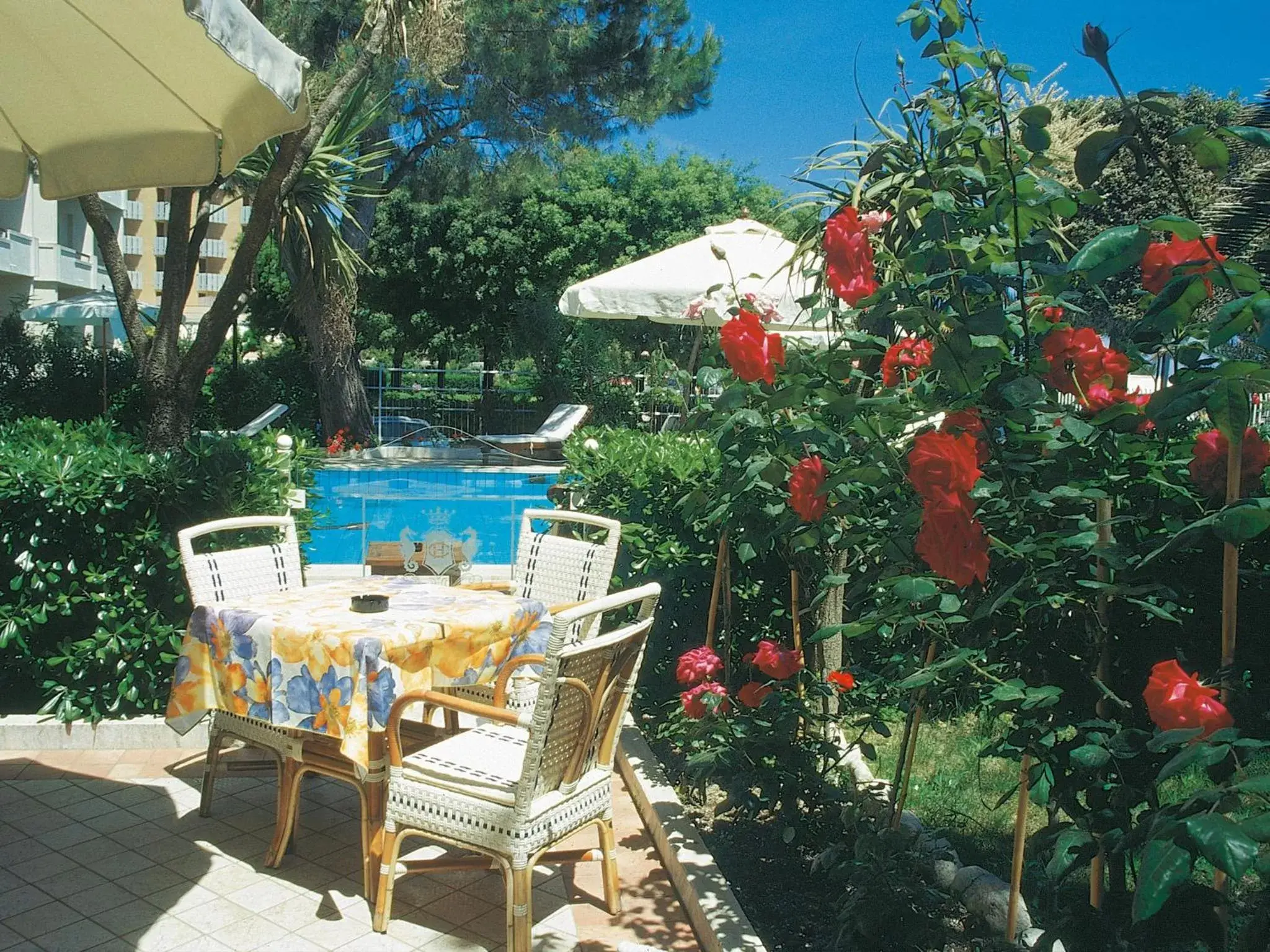 Patio in Hotel Corallo