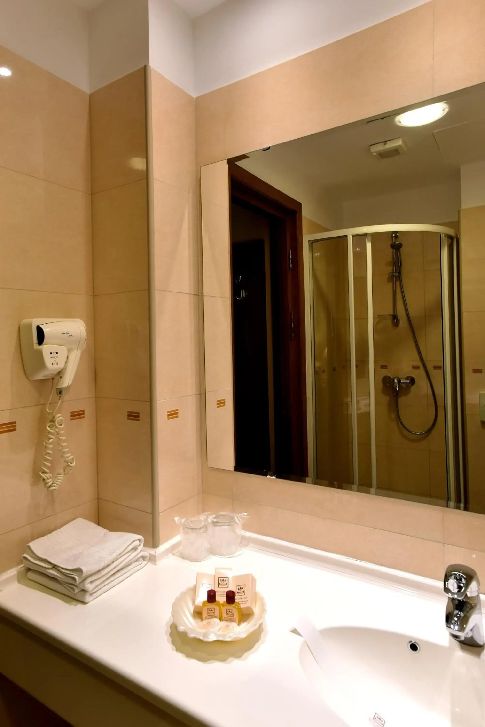 Shower, Bathroom in Hotel Brasov