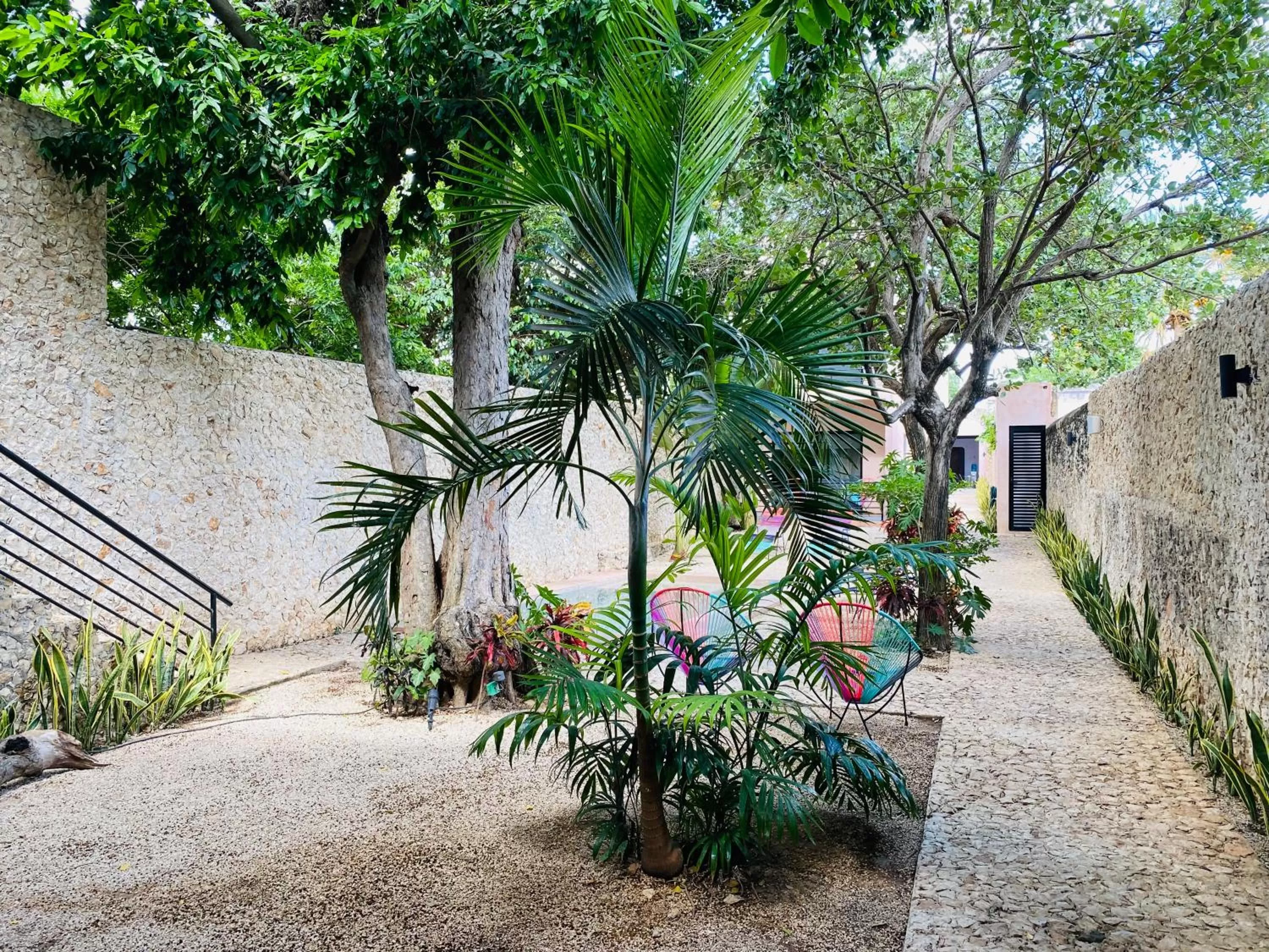 Day in Hotelito YUM KAAX