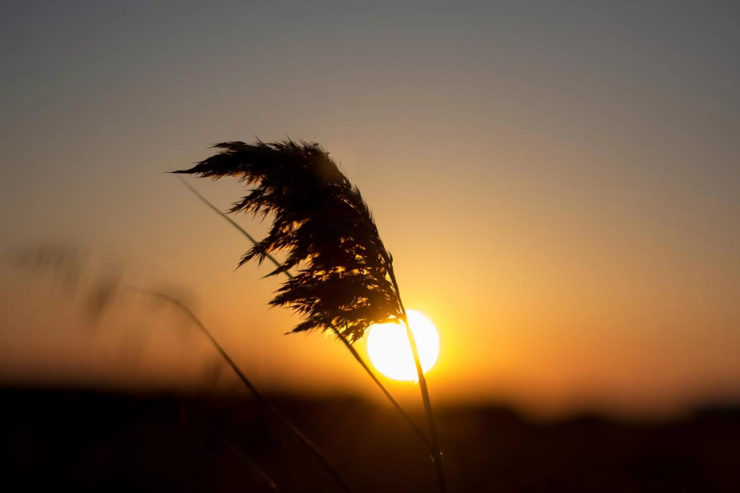 View (from property/room) in Ktima Bianco View (from property/room) in Ktima Bianco