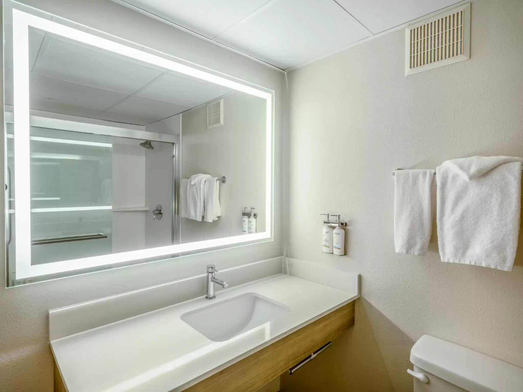 Bathroom in Holiday Inn Express & Suites Greensboro - I-40 atWendover, an IHG Hotel