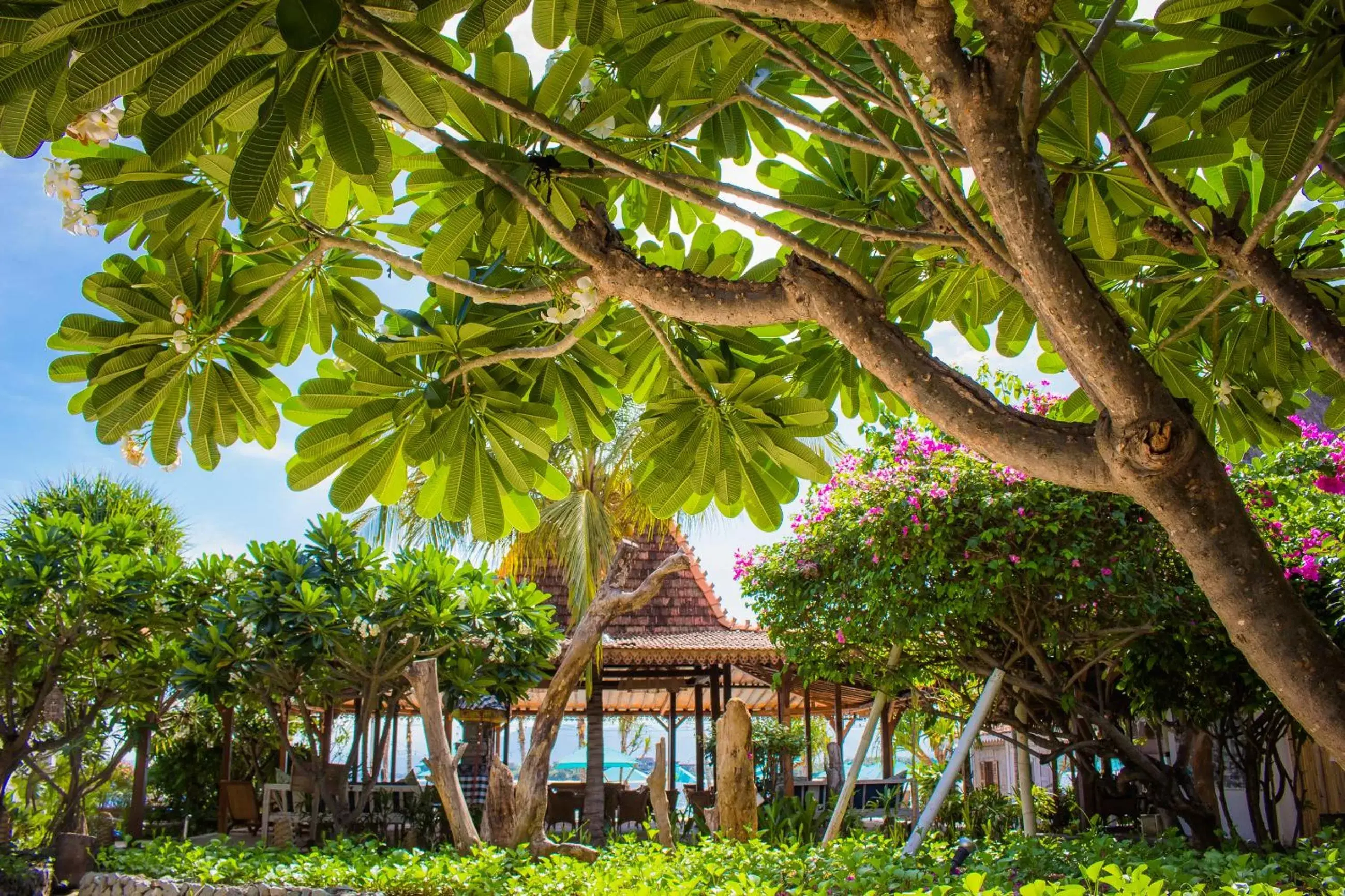 Garden in Sunrise Resort