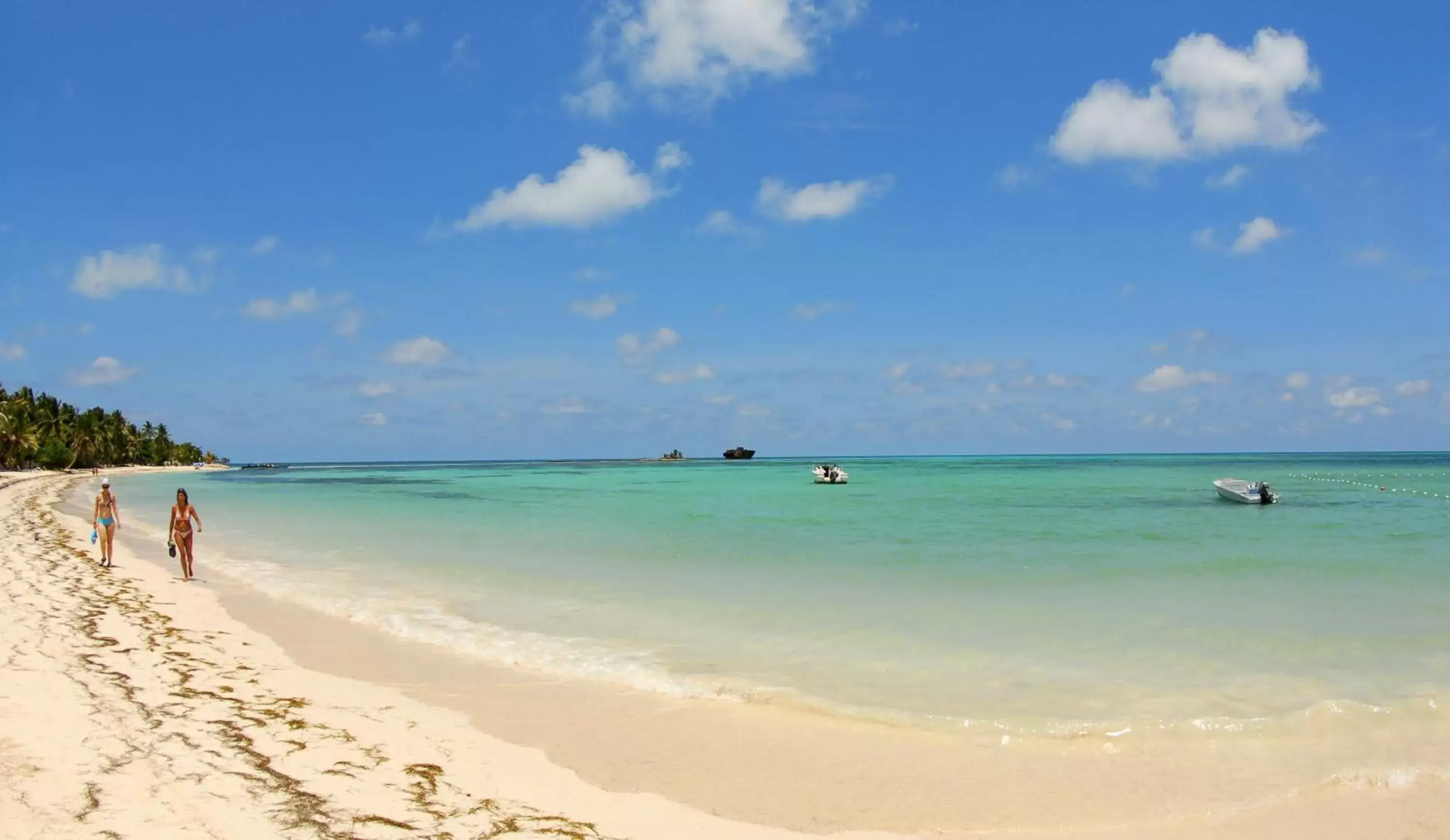 Beach in Hotel Cocoplum Beach