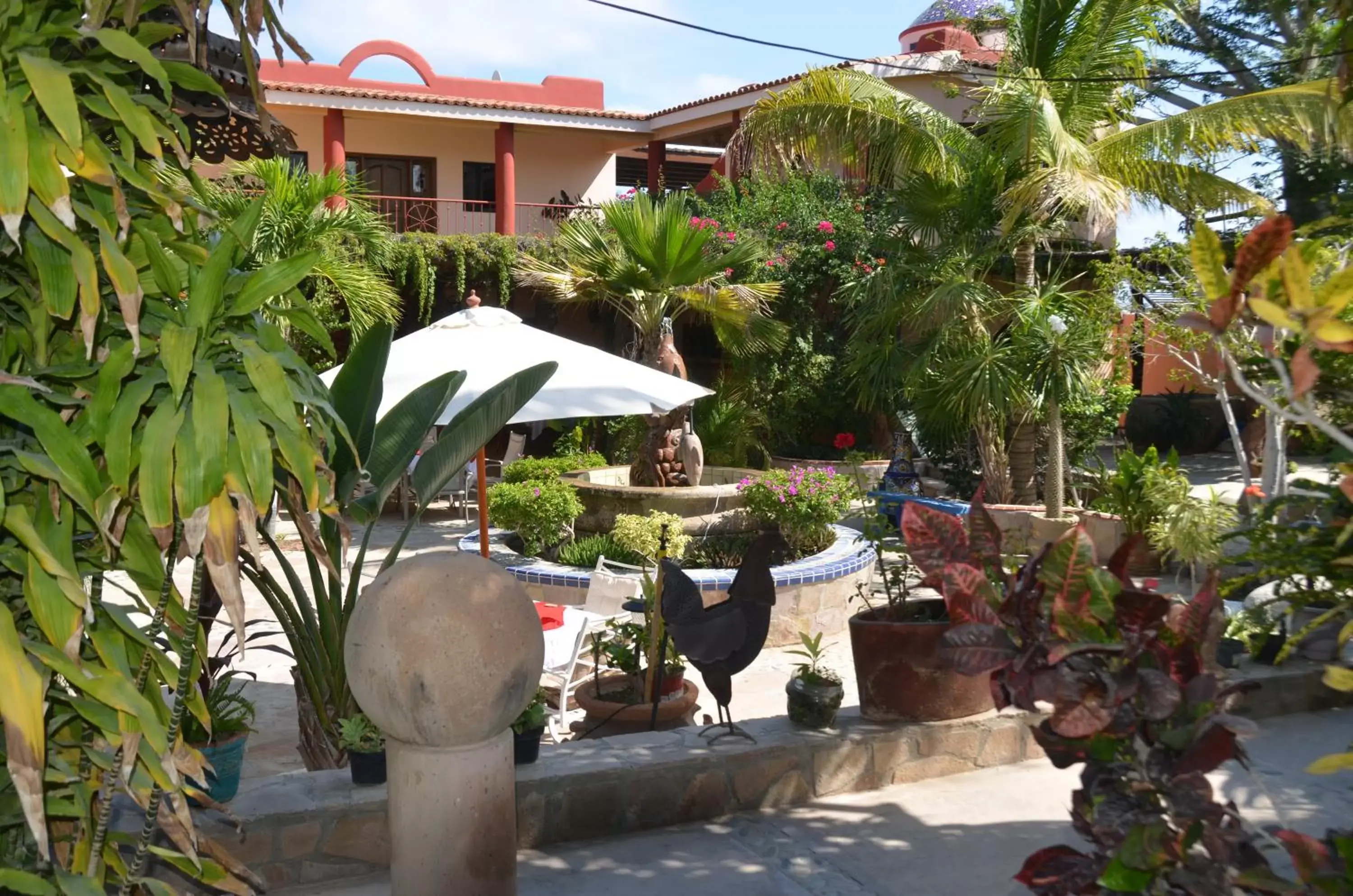 Garden in Hacienda De Palmas