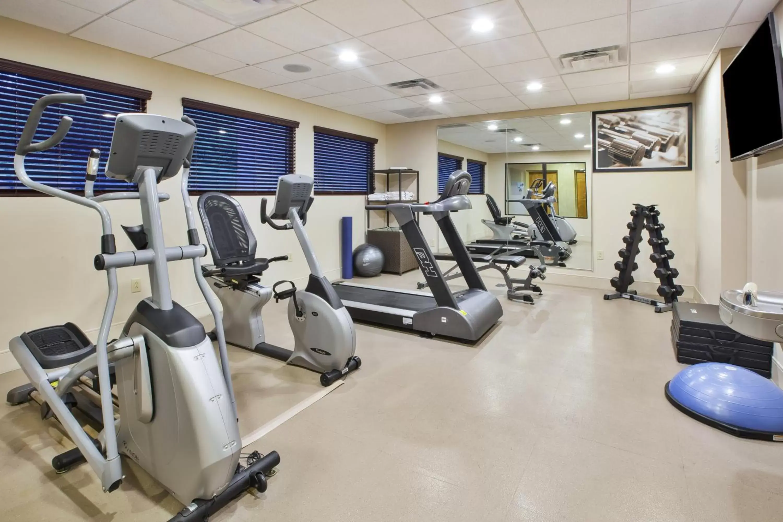 Fitness centre/facilities, Fitness Center/Facilities in Holiday Inn Express & Suites Geneva Finger Lakes, an IHG Hotel