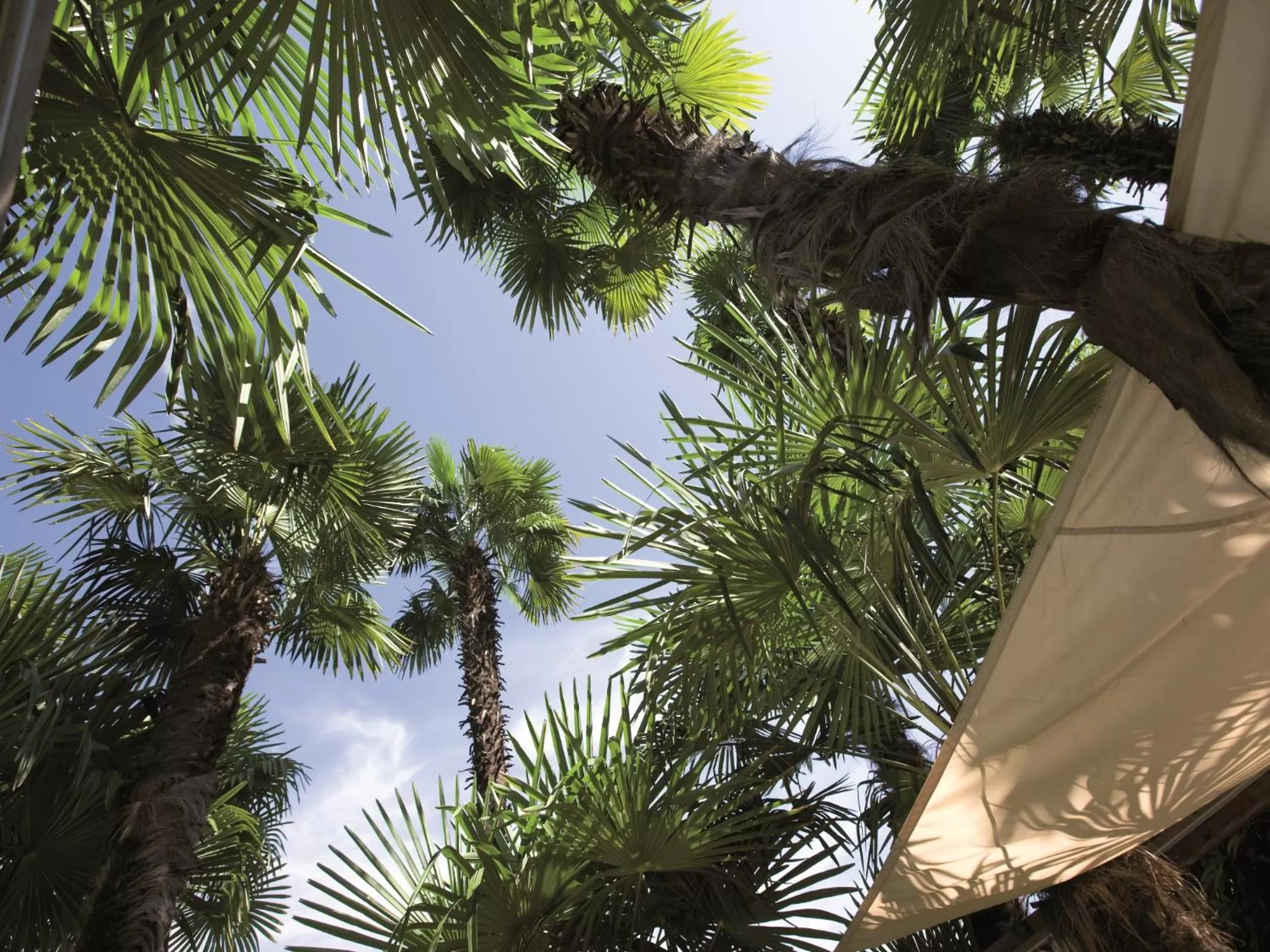 Garden in Delta Resort Apartments