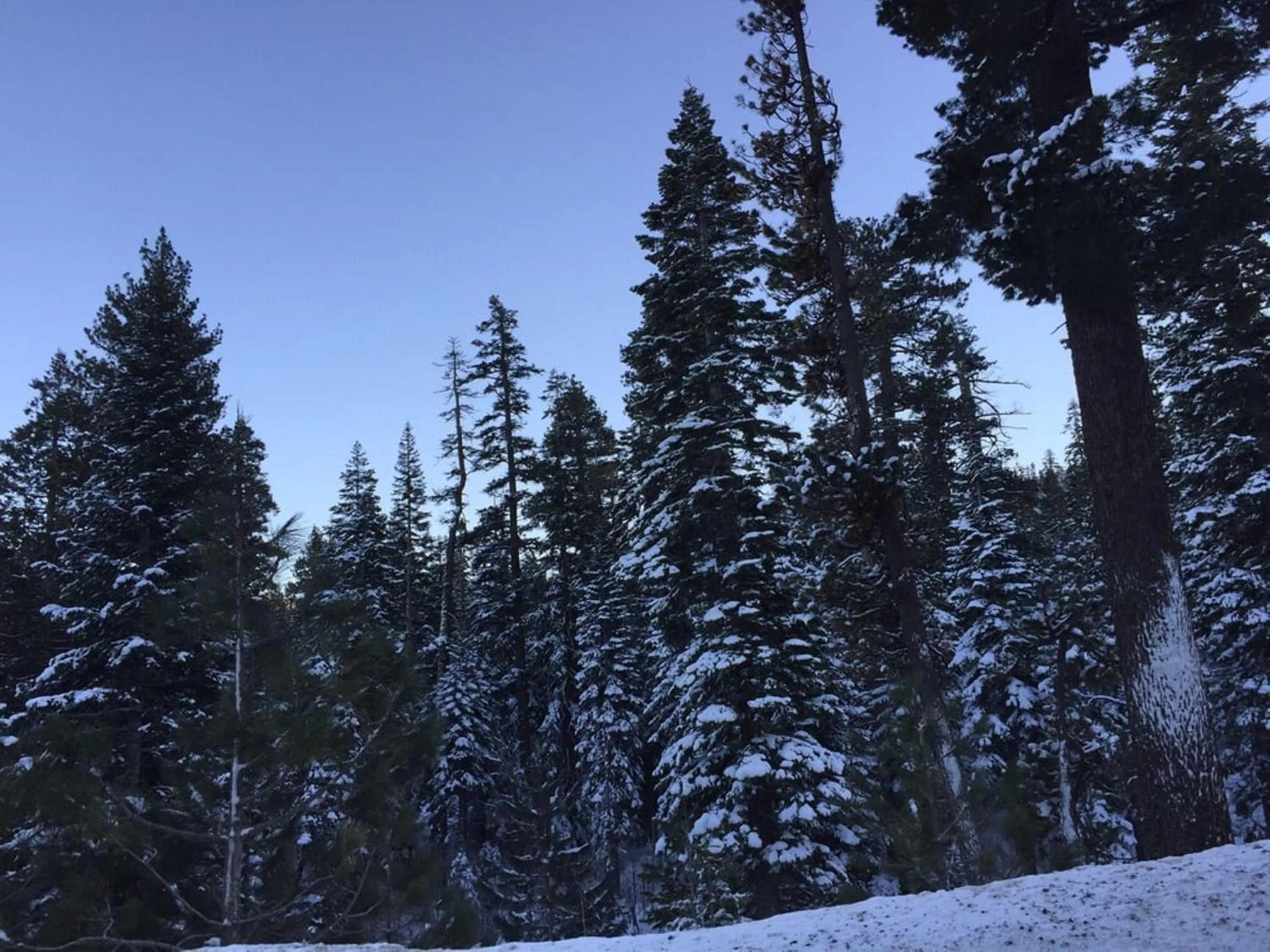 Natural landscape in Lodge at Kingsbury Crossing