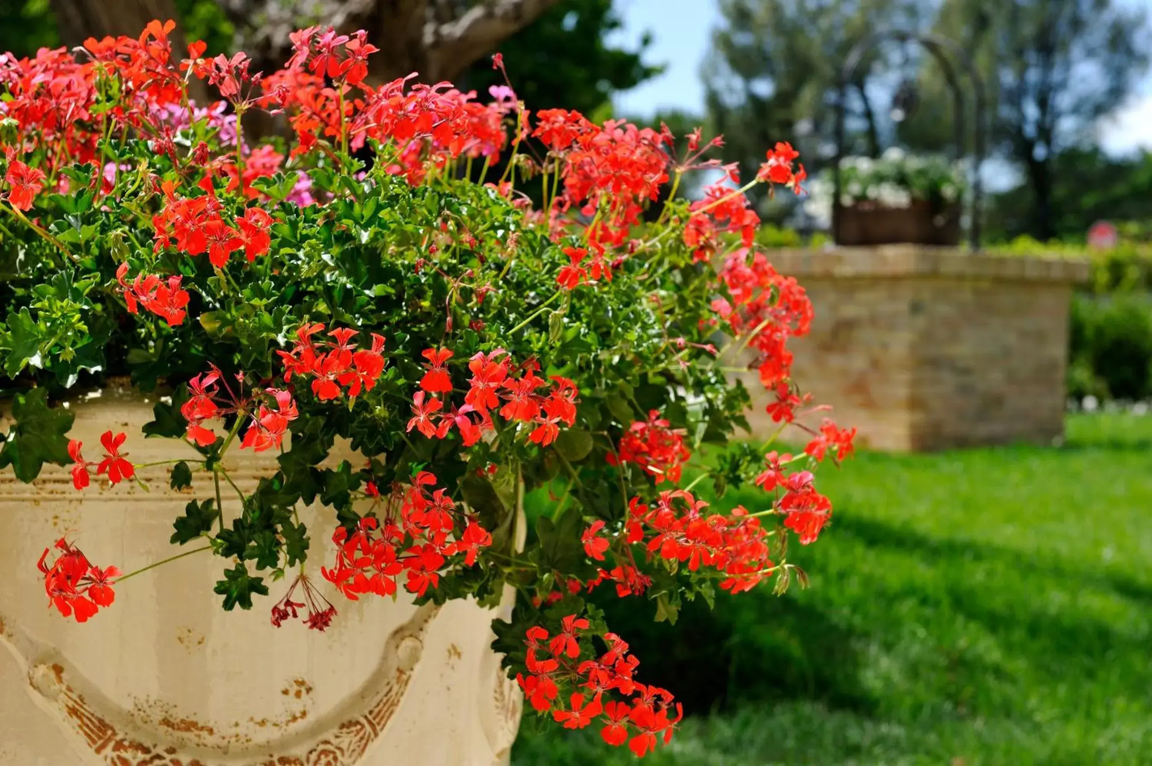 Facade/entrance, Garden in San Giovanni relais