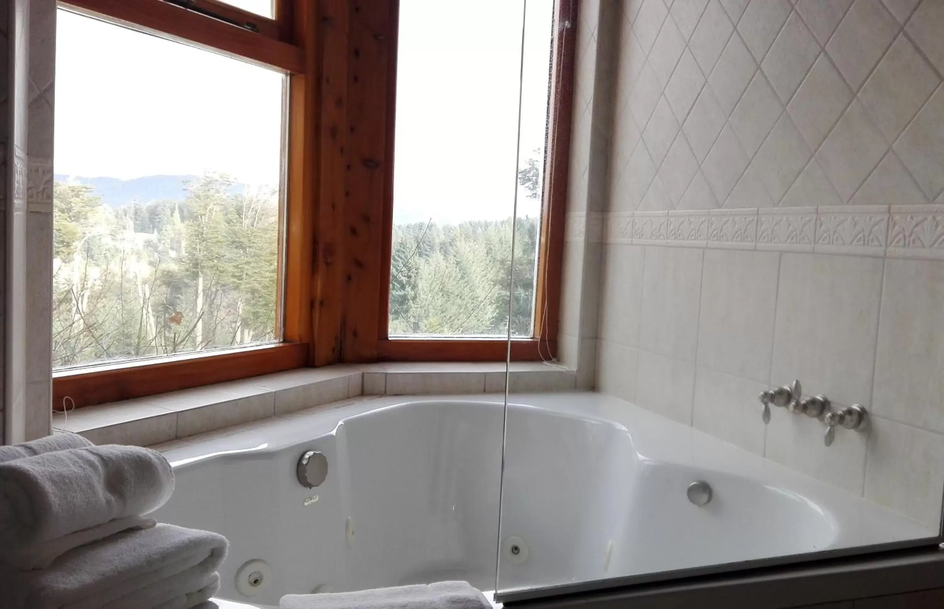 Superior Double Room in Amigos del Bosque Superior Double Room in Amigos del Bosque