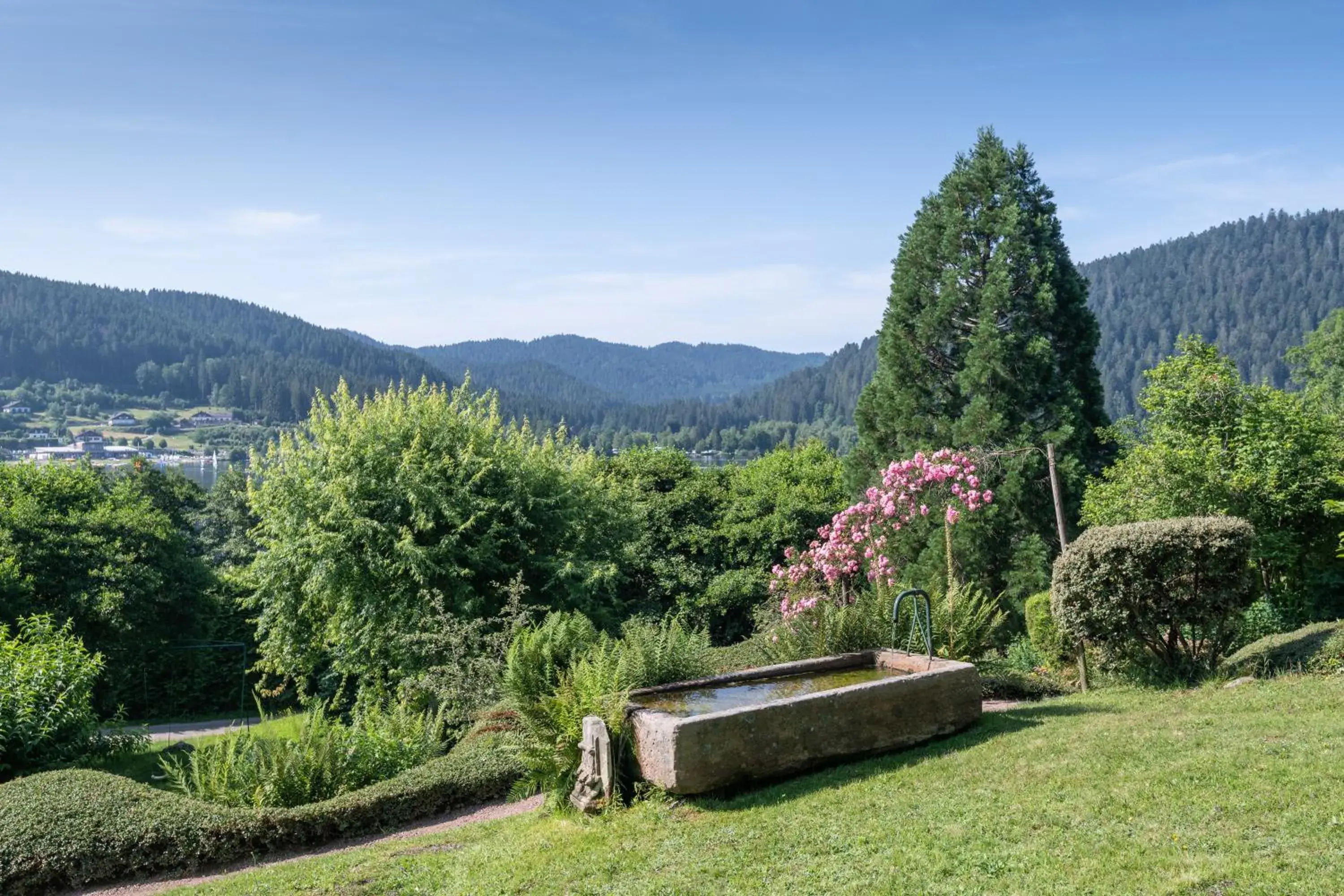 Natural landscape in Le Manoir Au Lac