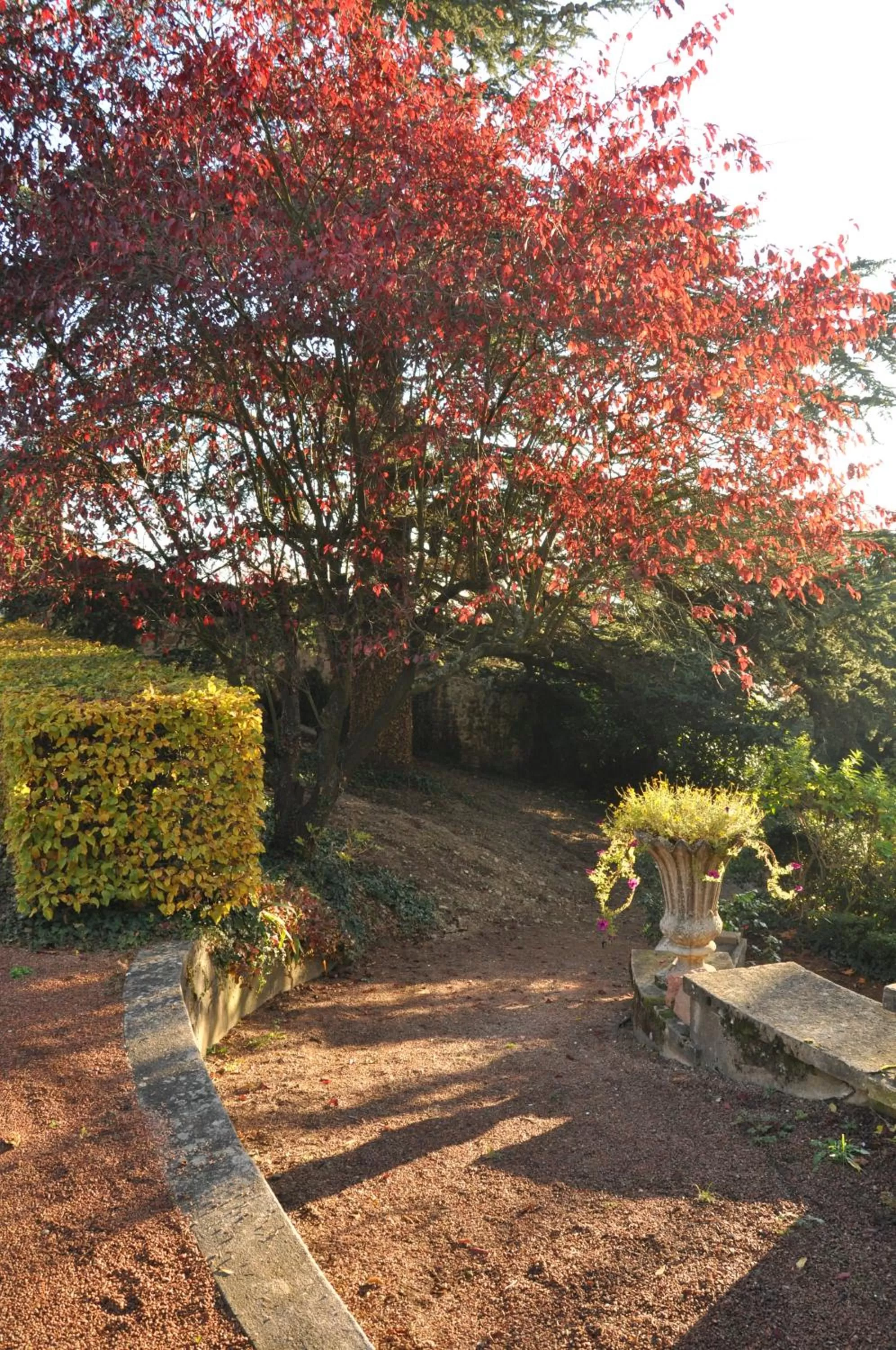 Garden in Les Jardins de l'Hacienda