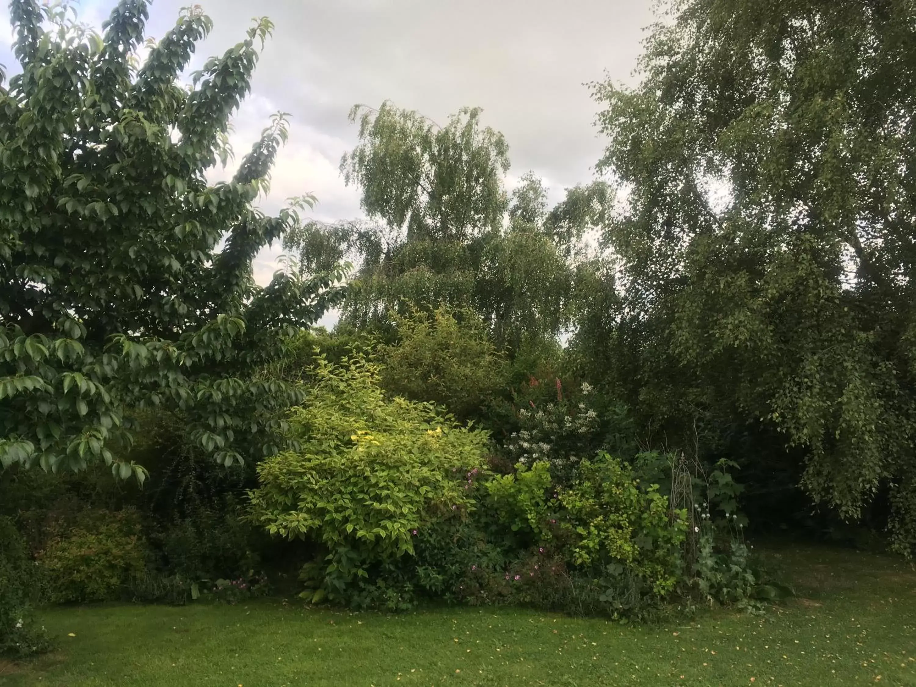 Garden view, Garden in West Wold Farm House B&B