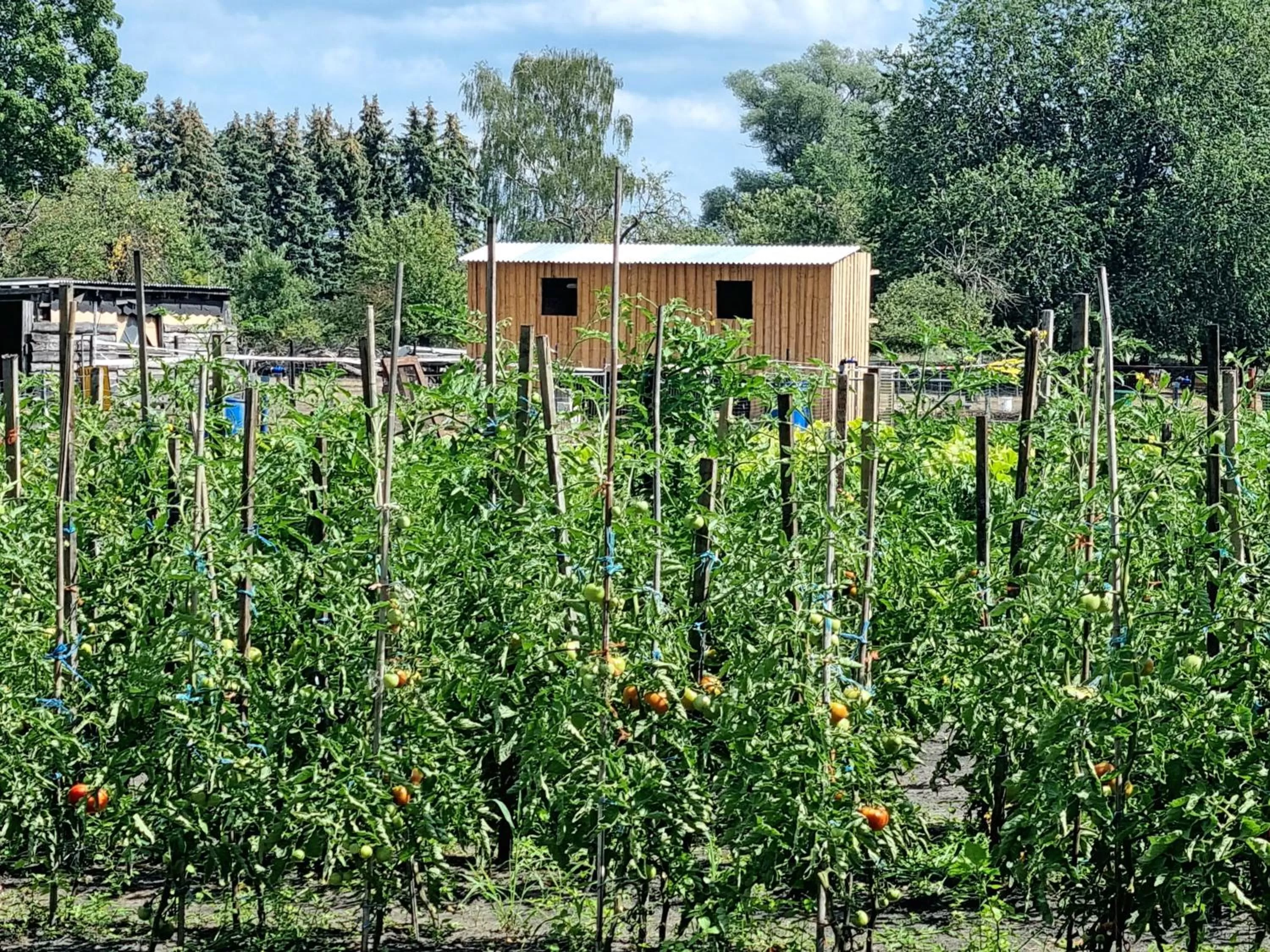 Garden in Flair Hotel Reuner