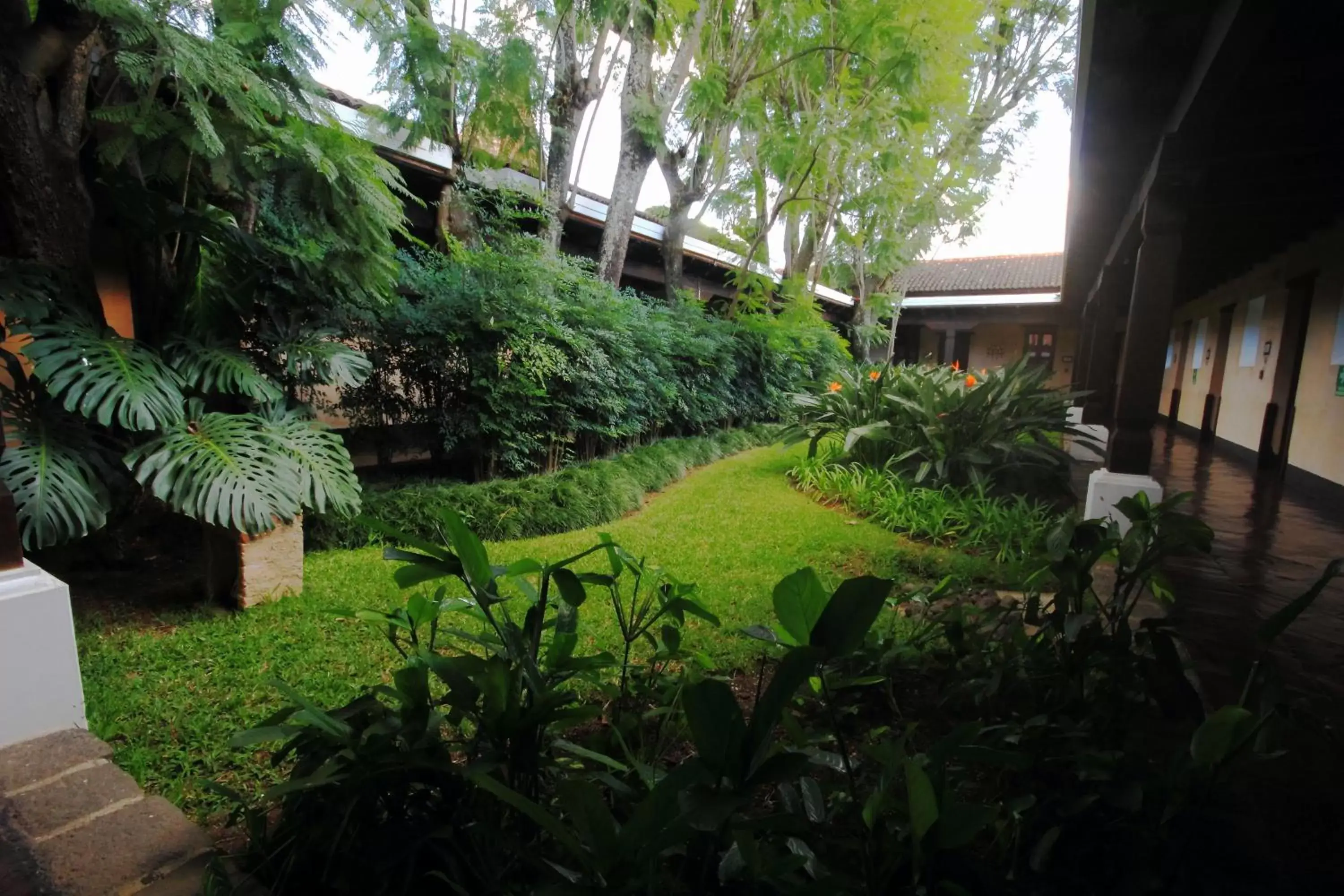 Garden in Porta Hotel Antigua