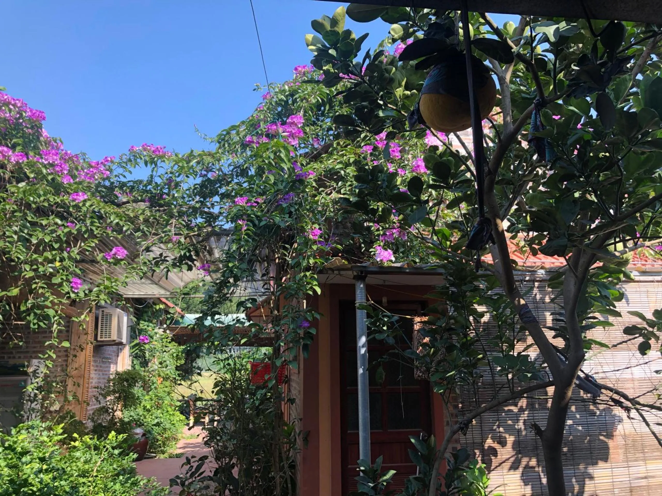 Tam Coc Mountain View Homestay