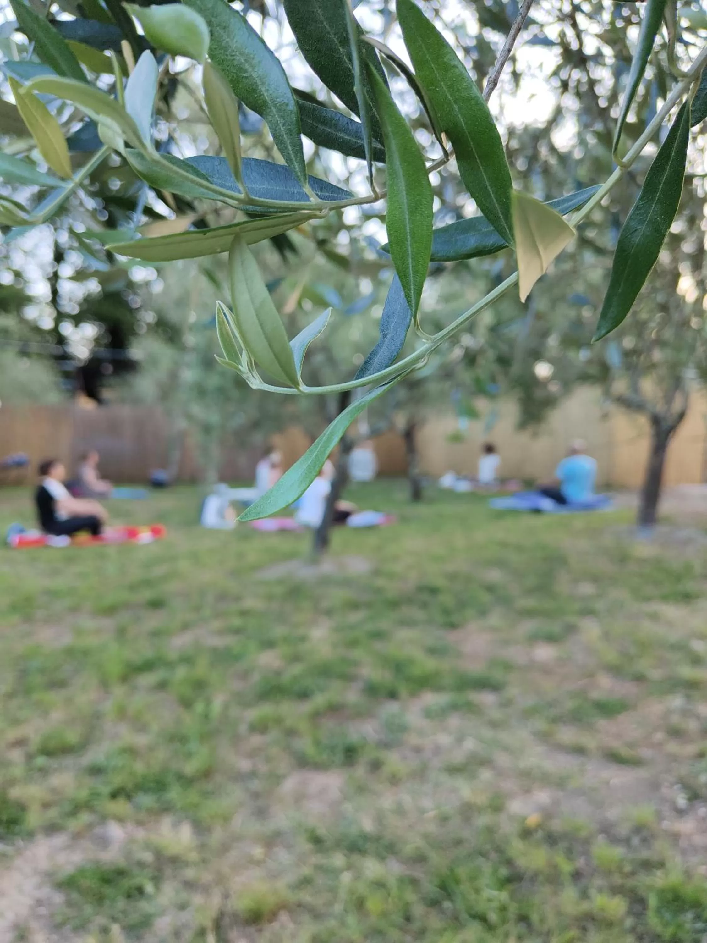 Garden in Casale dei ricordi