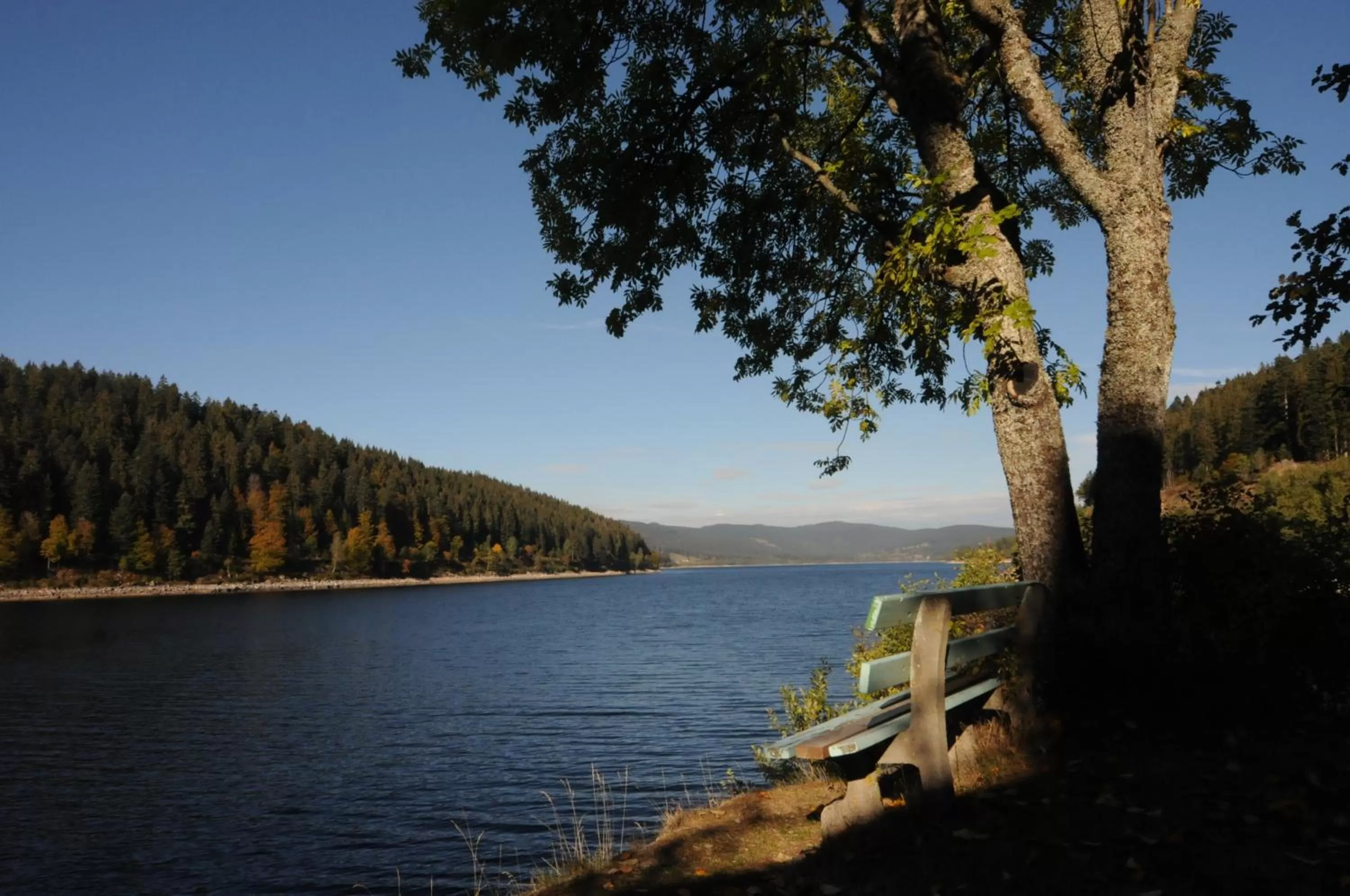 Natural landscape in Seehotel Hubertus