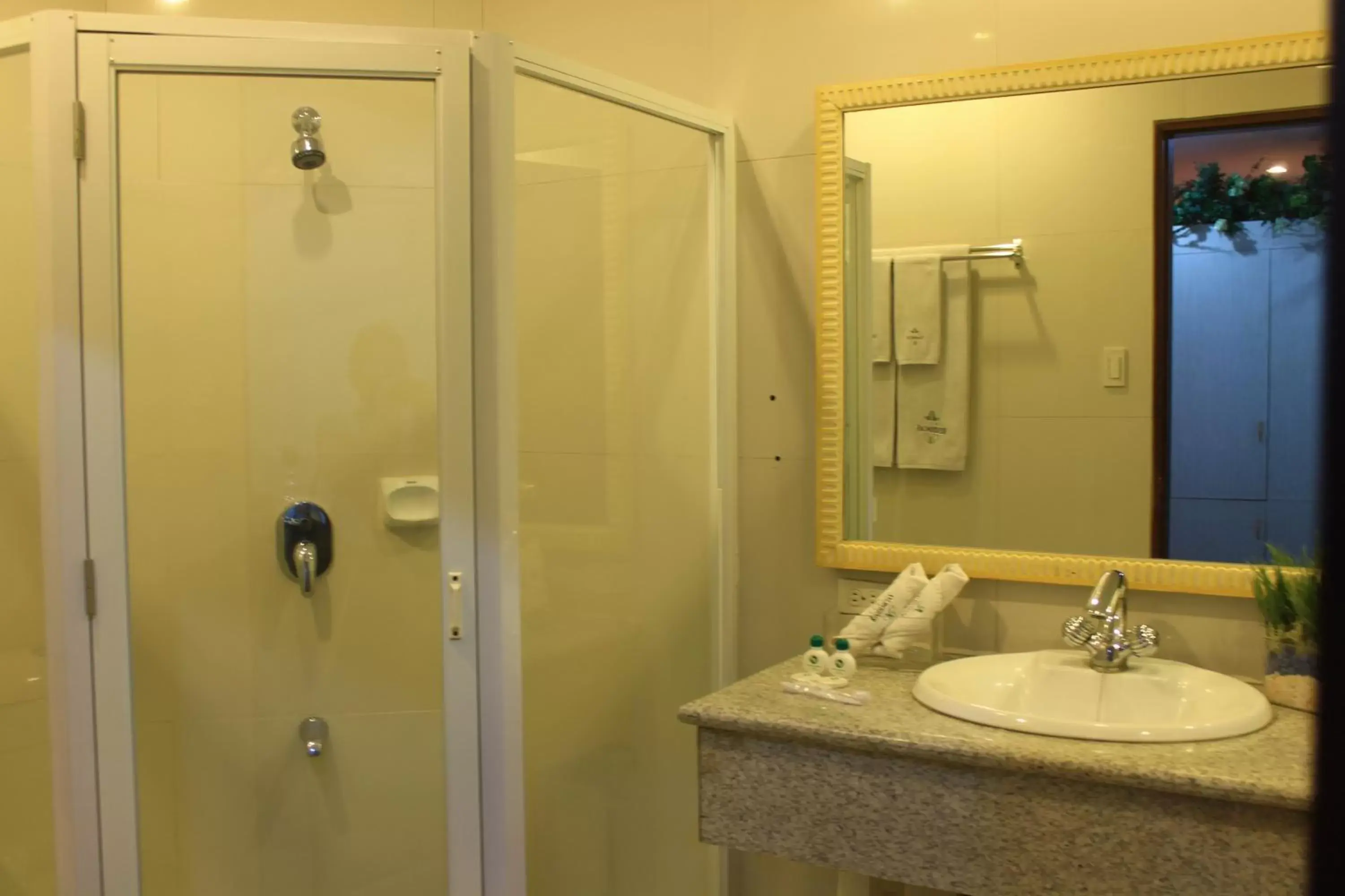 Shower, Bathroom in Subic Residencias