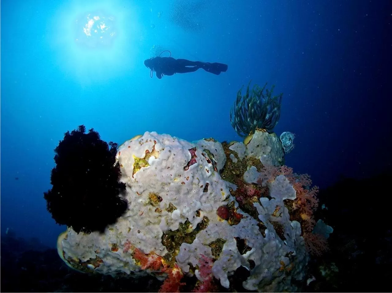 Diving in Punta Bulata White Beach Resort & Spa