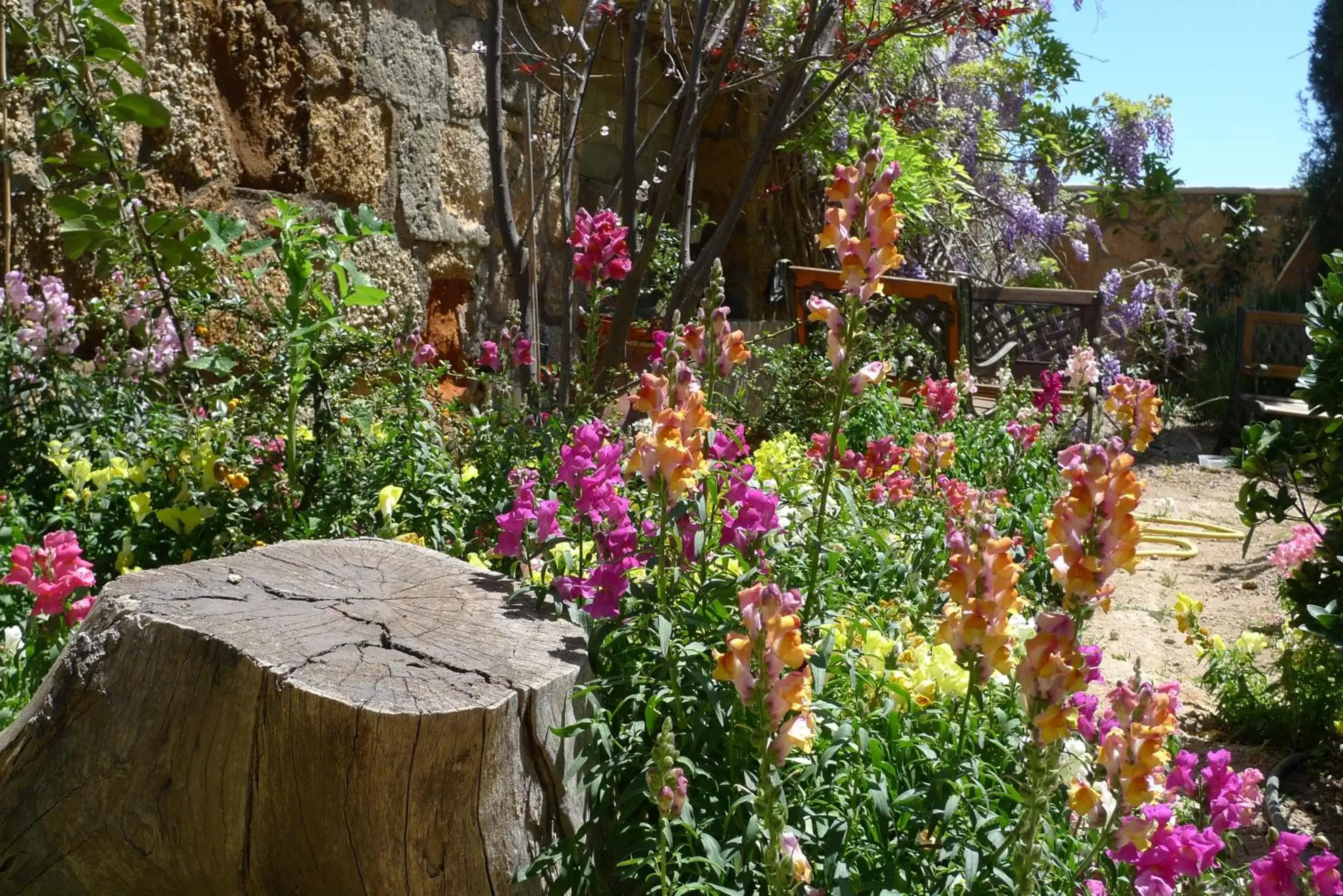 Garden in Hotel Rural San Miguel - Only Adults