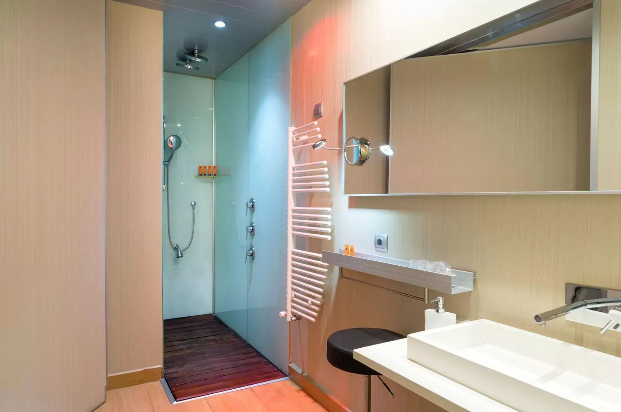 Shower, Bathroom in Hotel Spa La Casa del Rector Almagro