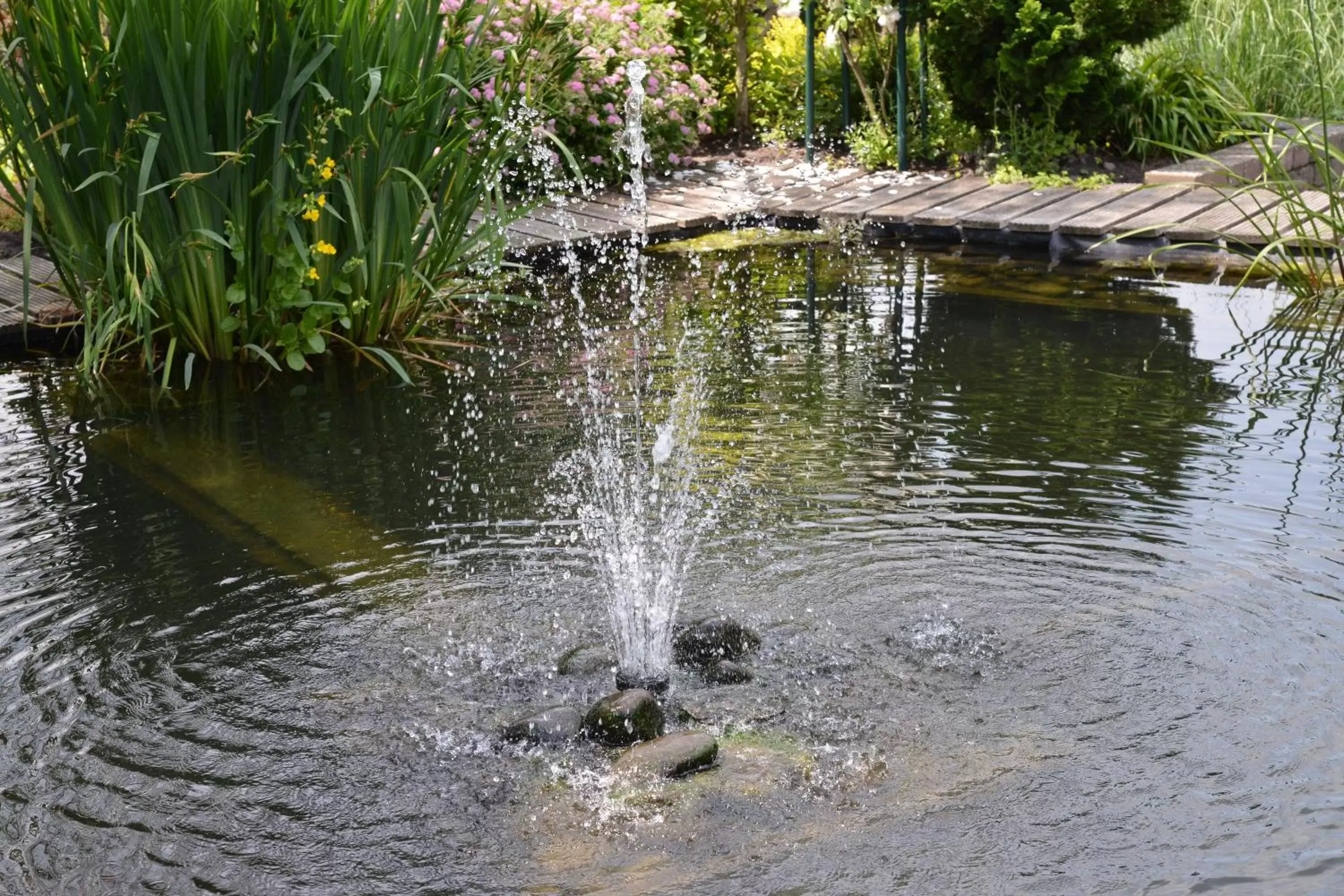 Garden in Guest House Aan de Hollandse IJssel