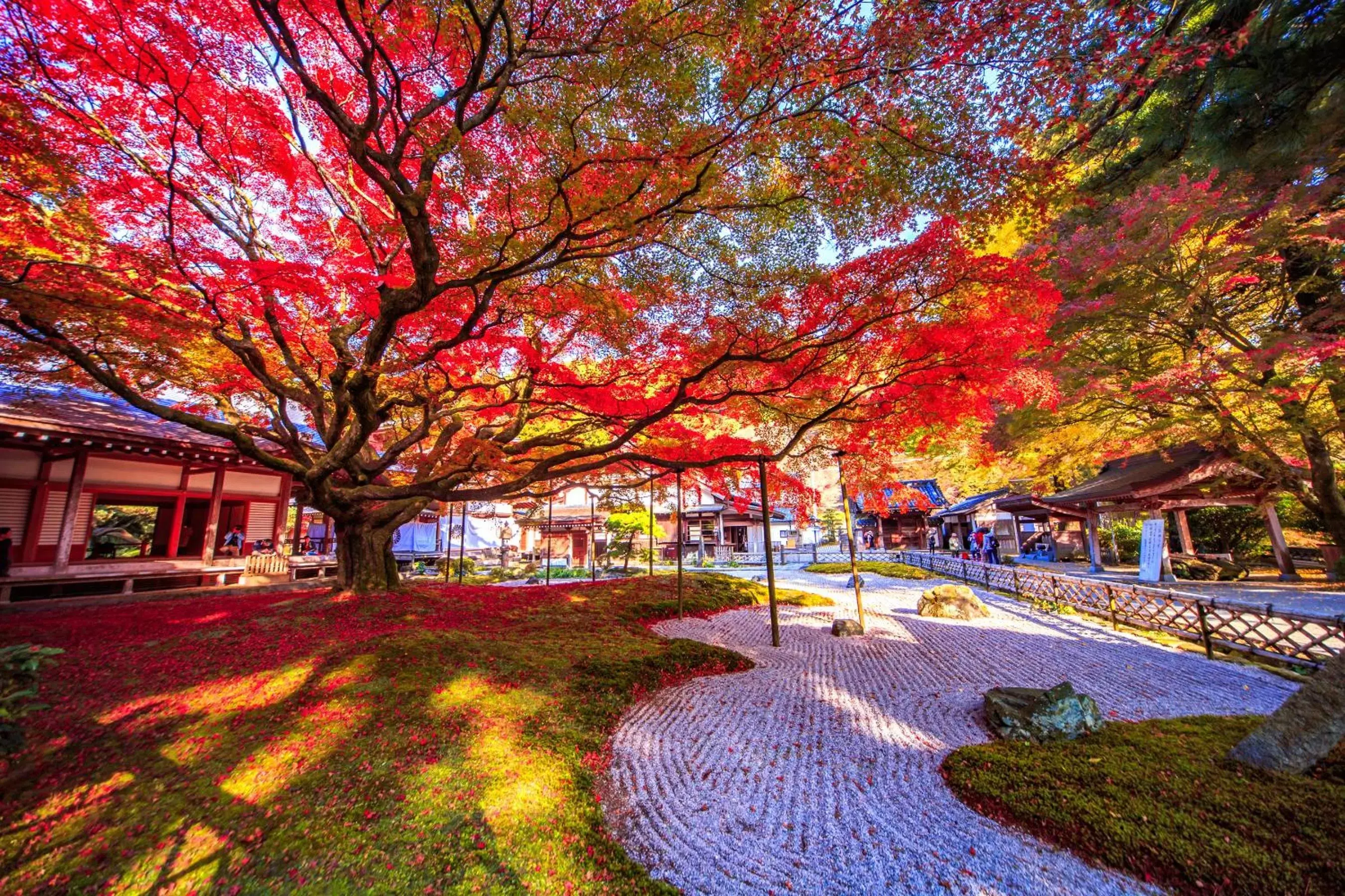 Nearby landmark, Garden in Hotel Torifito Hakata Gion