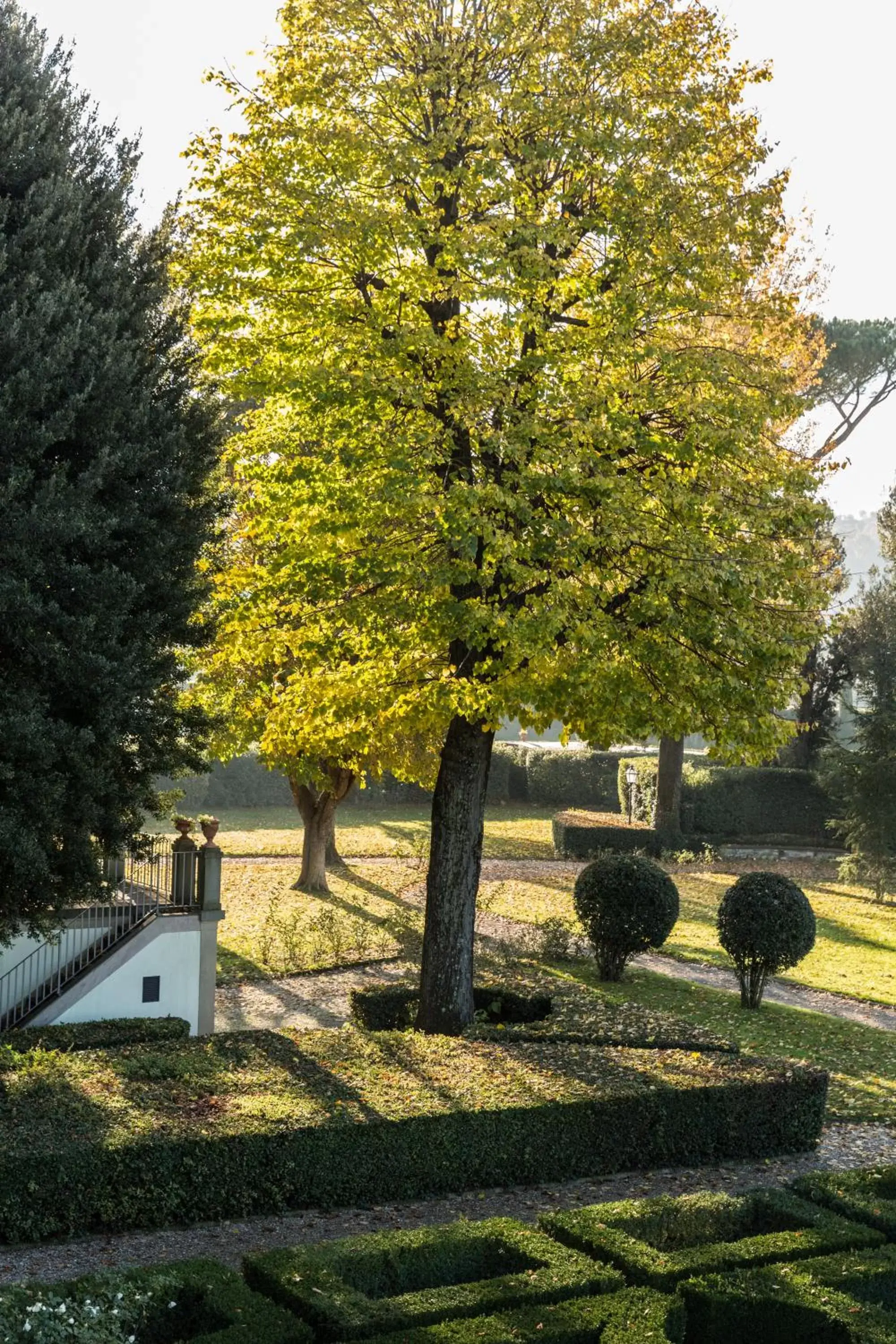 Garden in Villa Olmi Firenze