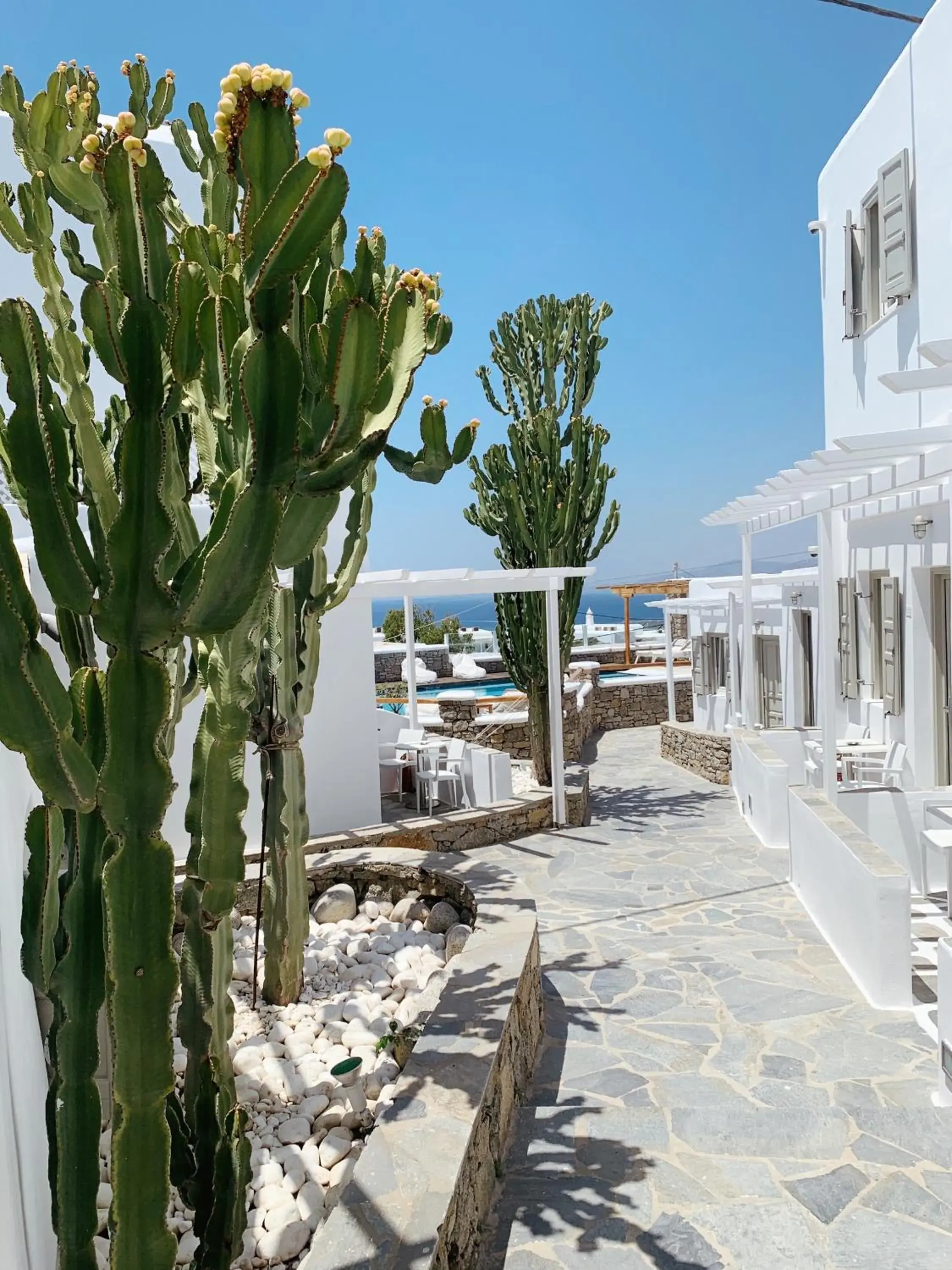 Property building in Damianos Mykonos Hotel