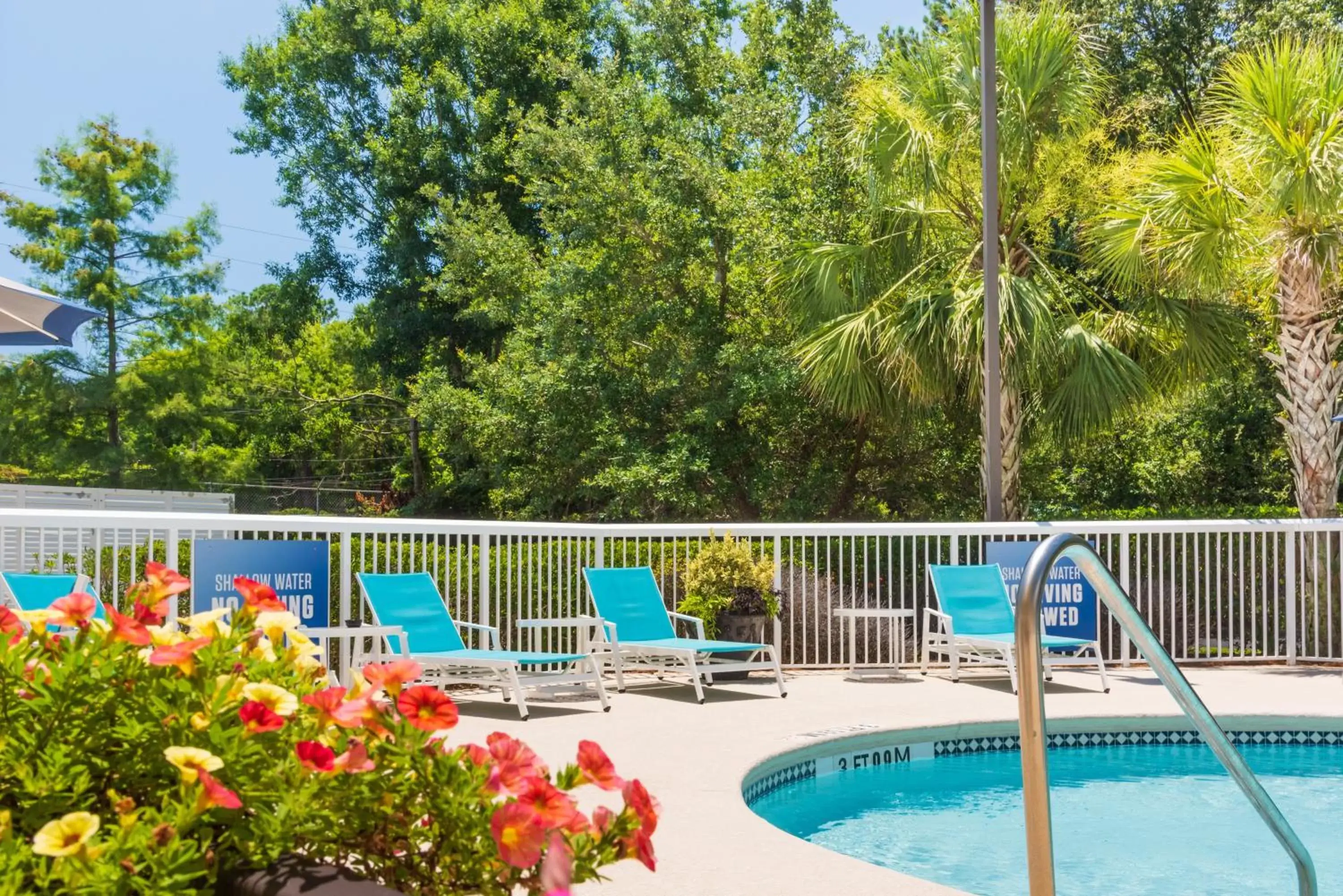 Swimming Pool in Holiday Inn Express Charleston US Highway 17 & I-526, an IHG Hotel