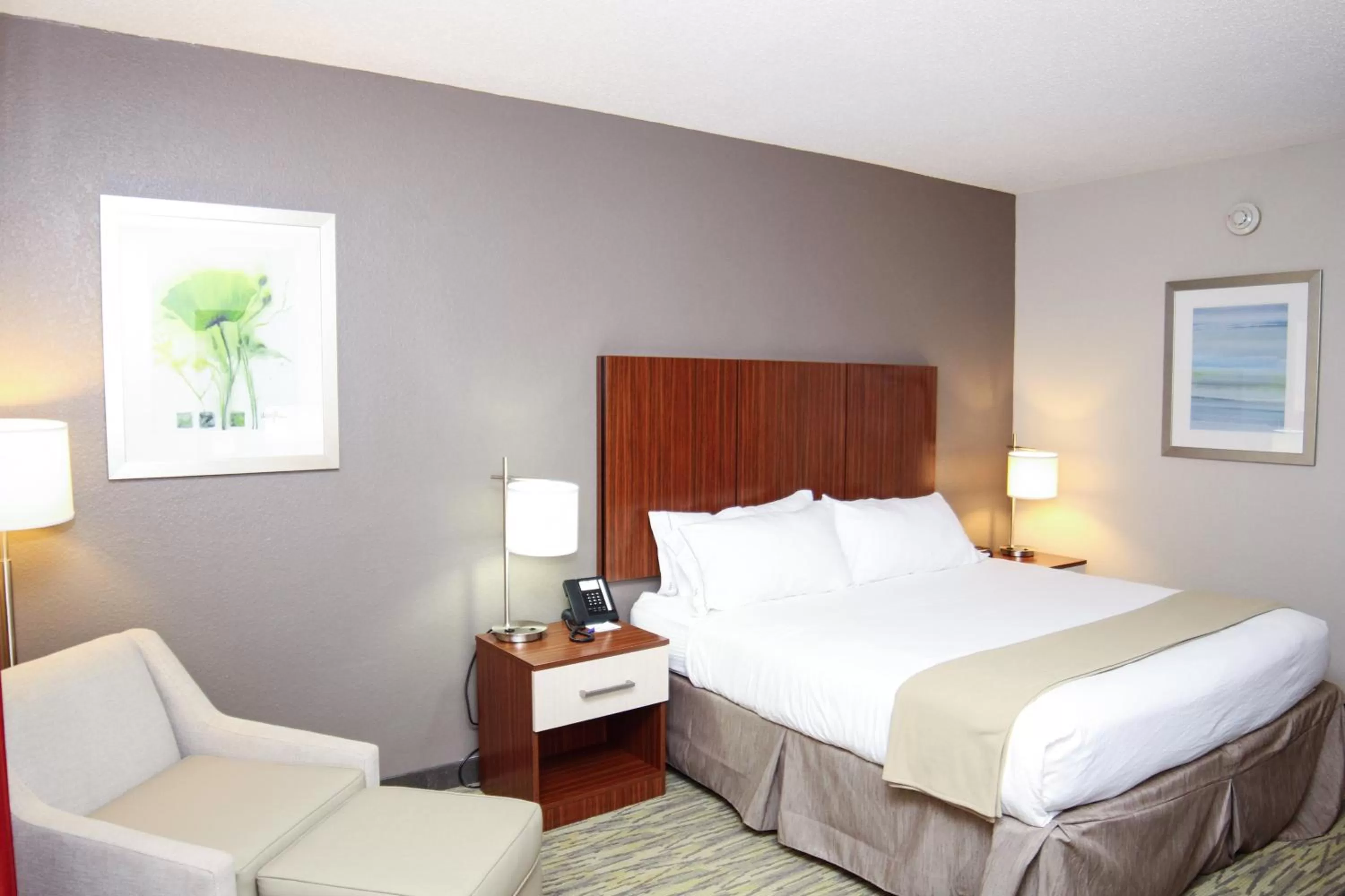 Photo of the whole room, Bed in Holiday Inn Express Vicksburg by IHG