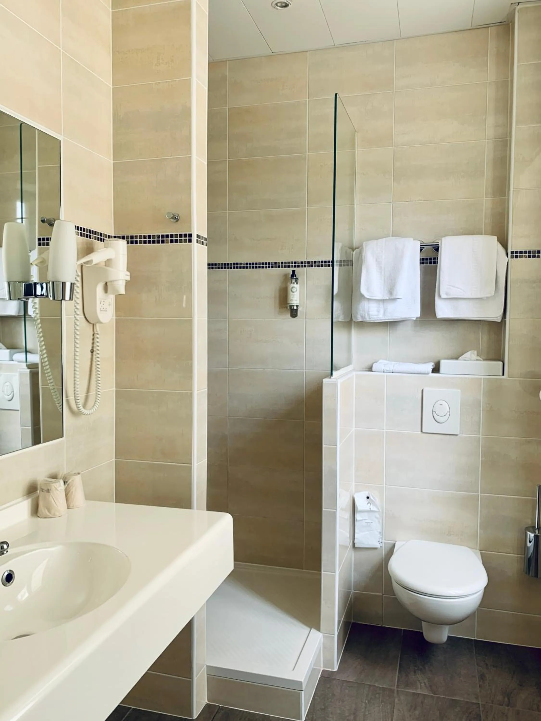 Shower in Best Western de Diane