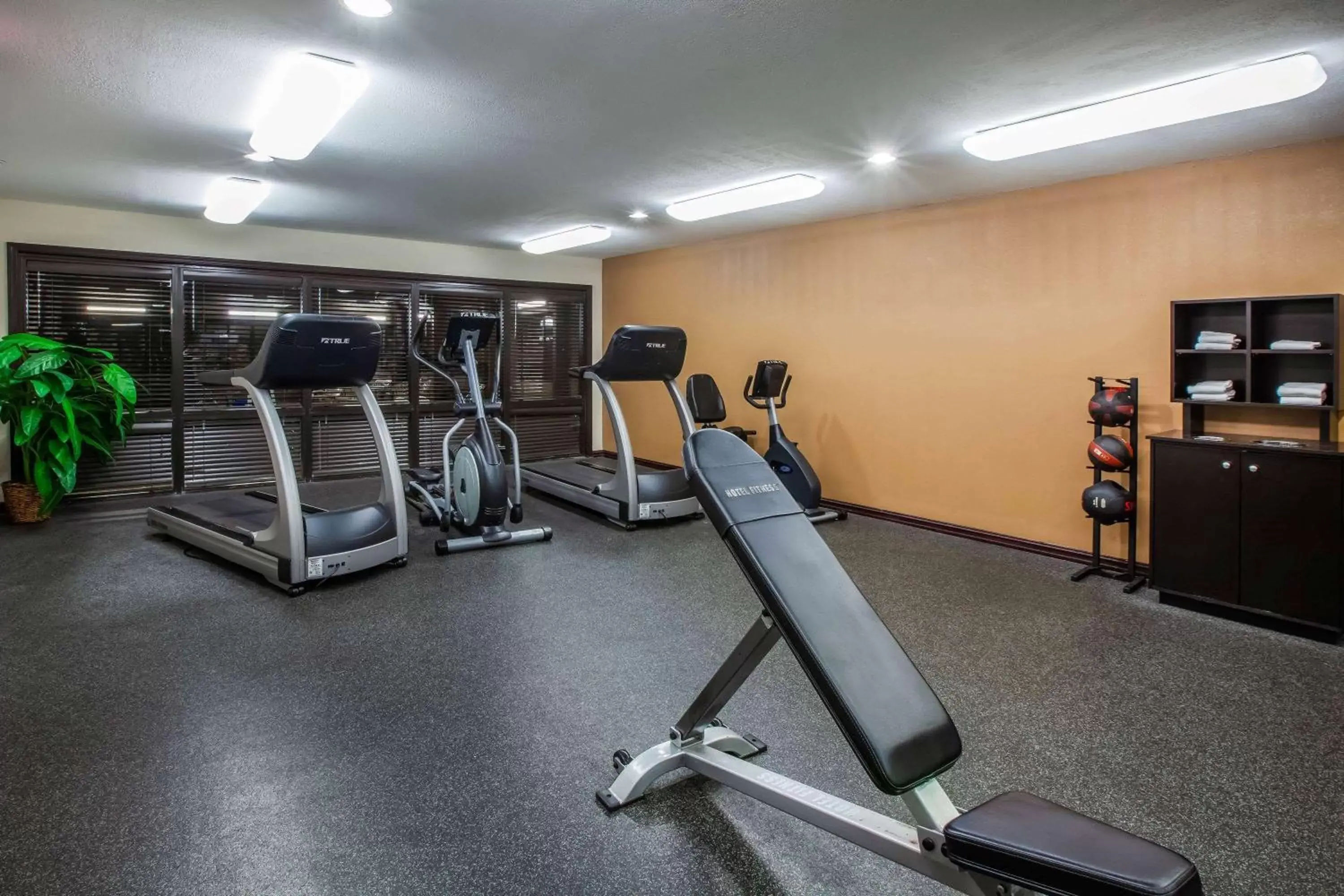 Fitness centre/facilities, Fitness Center/Facilities in Days Inn & Suites by Wyndham Tyler