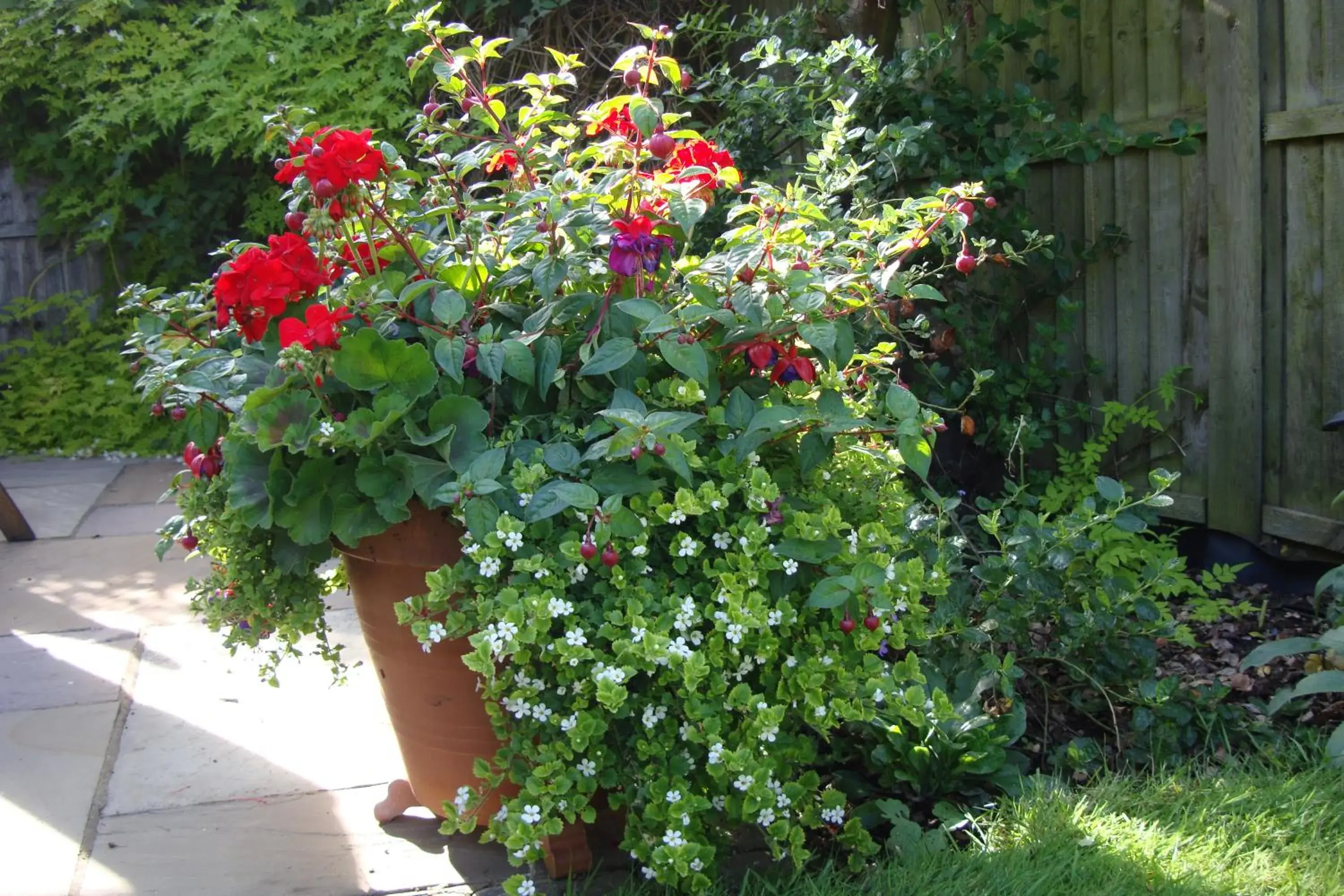 Garden in Pinfield Boutique Hotel