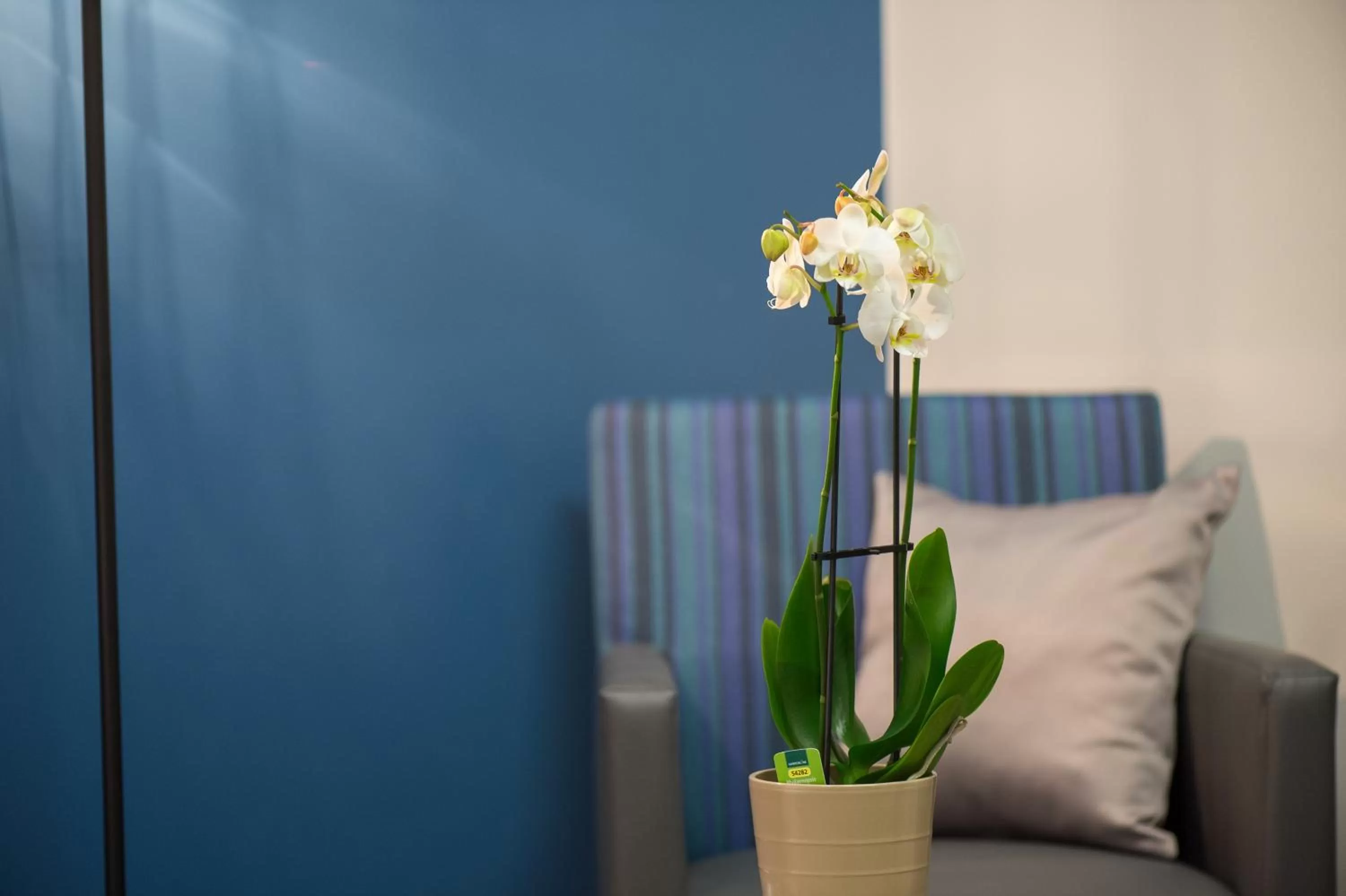 Living room in Three Corners Lifestyle Hotel