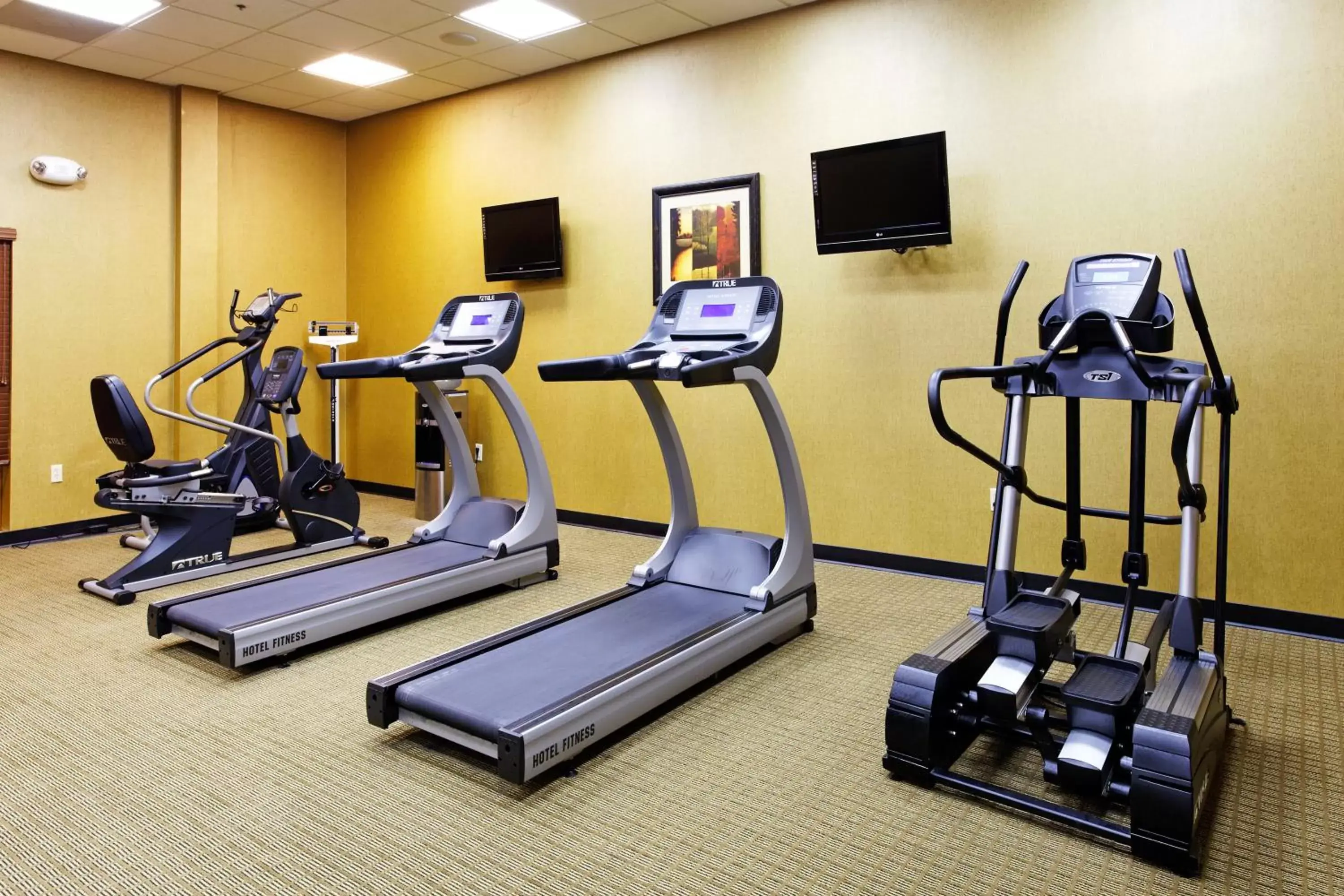 Fitness centre/facilities, Fitness Center/Facilities in Holiday Inn Hotels Batesville, an IHG Hotel