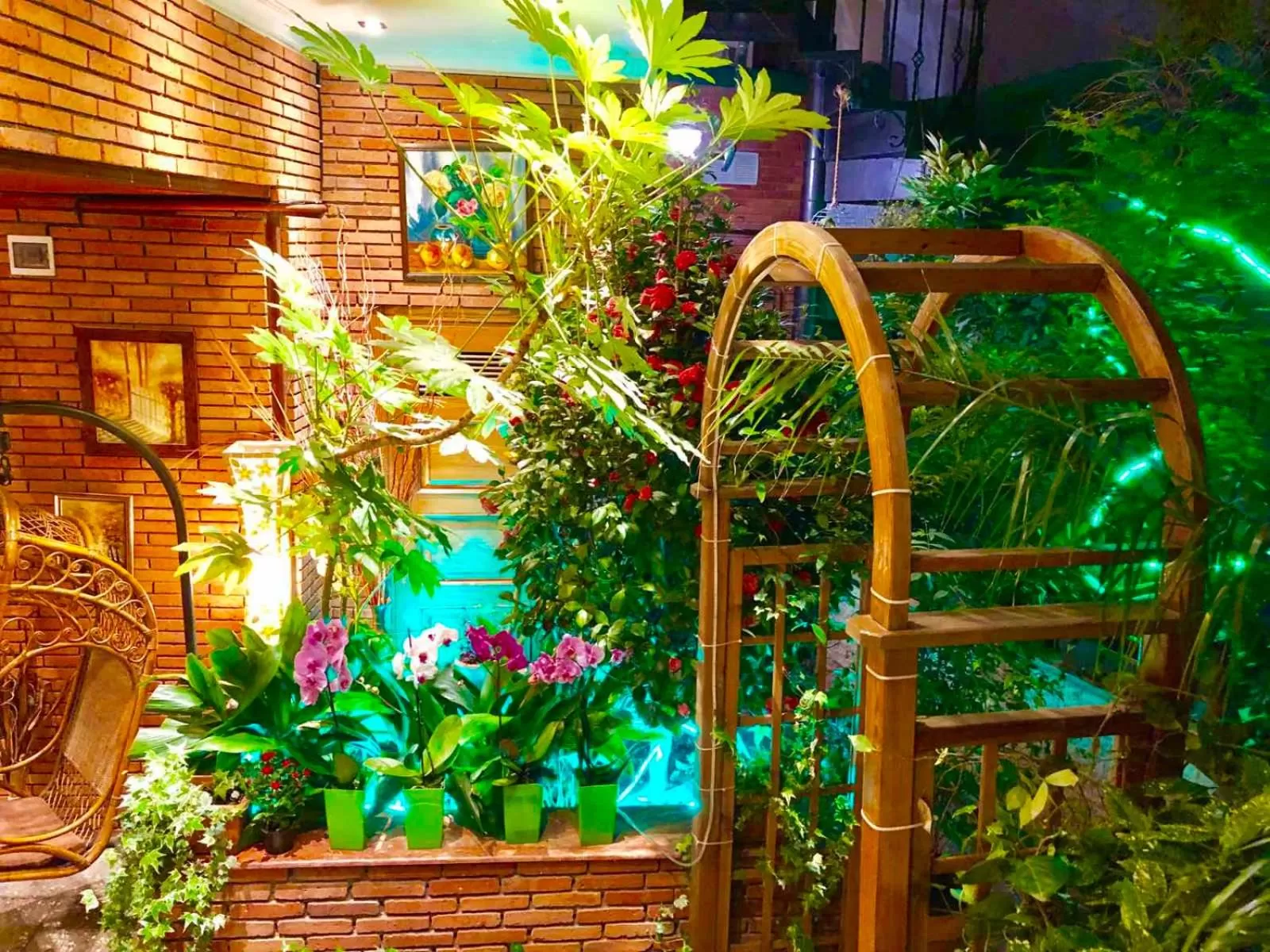 Property building in Hotel British House