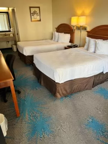 Bed in Days Inn by Wyndham Asheville West