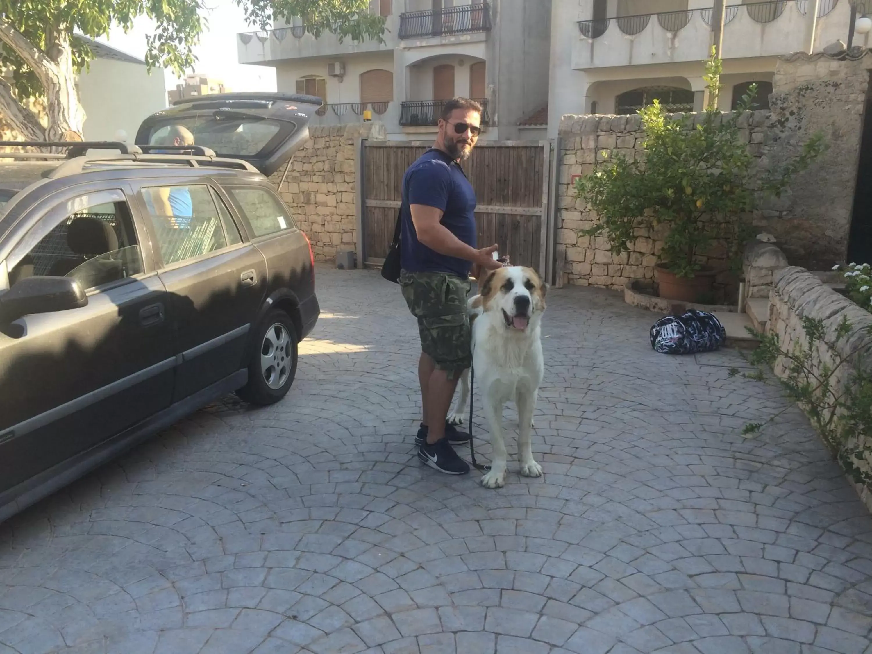 Pets, Guests in La Piccola Locanda